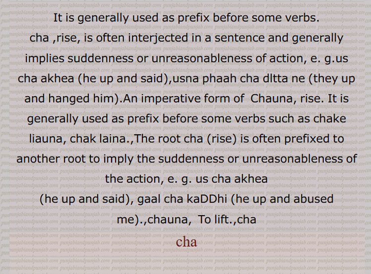   ch, cha,اکثر افعال کے آخر میں مستعمل ہے، جہاں واحد حاضر کے لیے کوئی کام ہوتا ہے جو مستقبل میں انجام دینا ہوتا ہے مثلاً اوہنوں آکھیں چا, میرا سنیہا دیویں سو چا, رکھ چا (رکھ دو), مثلاً سر تے چا لینا بمعنی بہت عزت کرنا, رب یا موت نے چا لینا بمعنی مر جانا,امدادی فعل : مثلاً اہ کم کر چا یعنی کام کرلے, التجا, تاکید, اصرار کے لیے بولتے ہیں,تکمیل فعل دکھانے کے لیے:  مثلاً تدھ ملک چا سٹا ( تو نے ملک چھوڑ دیا), ہک کھوتا چا گھدا  ( گدھا خرید لائے),ترغیب دکھانے کے لیے:  مثلاً سوٹی چا  گھنے (چھڑی لے لینے دو), ہک گیٹی چا دے, ساڈے کول وی آن کے چا بیٹھو,عزم دکھانے کے لیے:  مثلاً  تاں پھر کائی ہور چن چا چڑھیسیا,عمل کی تیزی دکھانے کے لیے:  مثلاً  جھگی ساڑ کے مار کے بھڽ بھانڈے ایس فقر نوں چا اجاڑیا جے,نفی کی تاکید دکھانے کے لیے:   مثلاً  تینڈھی پسند بہوں چا آئیا (تم نے اسے بالکل پسند نہ کیا),اجازت ظاہر کرنے کے لیے:  مثلا آوے چا ( آنے دو),It is generally used as prefix before some verbs.cha,ਚਾ  