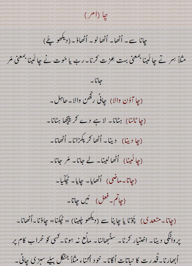 اُٹھایا, چایا, چُکّیا,چاتم, مَیں چاتا,چانا,   چَوٛنا یا چاپنا سے (دیکھو چَینا) = چُکنا= چاؤنا,اُٹھانا,پروانٛگی دینا, اختیار کرنا, سن٘بھالنا, مانع نہ ہونا,کسی کو خراب کام پر اُبھارنا,قُدرت کا نباتات اُگانا, خود اُگنا، مثلاً جنٛگل بیلے سبزی چائی,ذمہ داری اُٹھانا, بوجھ سہارنا, چاوَنا,چانا,چانا بھانا,اُٹھا بِٹھانا, آنے جانے والے کا خیال رکھنا, مال ڈنٛگر کے اُٹھنے بیٹھنے کا دھیان رکھنا,چانا چوانا,چُکنا چُکانا, اُکسانا,چانٛدی, اُٹھا لائی,چانٛدی,چاواں, چُکّواں, جو اُٹھایا جاسکے,چاواں چُلّھا, وہ چُلھا جِس کو اُٹھا کر انٛدر یا باہر لے جایا جا سکے,وہ آدمی جو ٹِکوِیں طبعیت یا پُختہ رائے والا نہ ہو,چاوَاں لاوَنا, بھڑکانا, اِشتعال دِلانا,چاوَنا, چُکّنا,اُٹھانا,چانا,چھوڑنا, دینا, مثلاّ رکھن چاوَنا بمعنی رکھ دینا,چاؤنا,چانا,چاوے چاہوَنِیاں,انٛدرُونی جذباتِ انتظار کو برانٛگیختہ کرنا,چائی چوائی, چُکّ چُکائی, چُکًنے کا فعل, اُٹھانے کی حالت,چائی رکّھن والا, چا آوَن والا, حامِل,چائیاں,اُٹھائیں,چائِیو,چایو, تُم نے اُٹھا لِیا, مثلاً دِل چایو بمعنی دِل اُٹھا لِیا یعنی تُم برگشتہ خاطر ہو گئے,چائِیوس,چایا,چُکیا, اُٹھایا,Desire. wish; love; avidity; appetite, hunger; liking; an imperative form of  'chauna', rise. It is generally used as prefix before some verbs such as cha ke liauna.,ch - cha,ਚਾ 