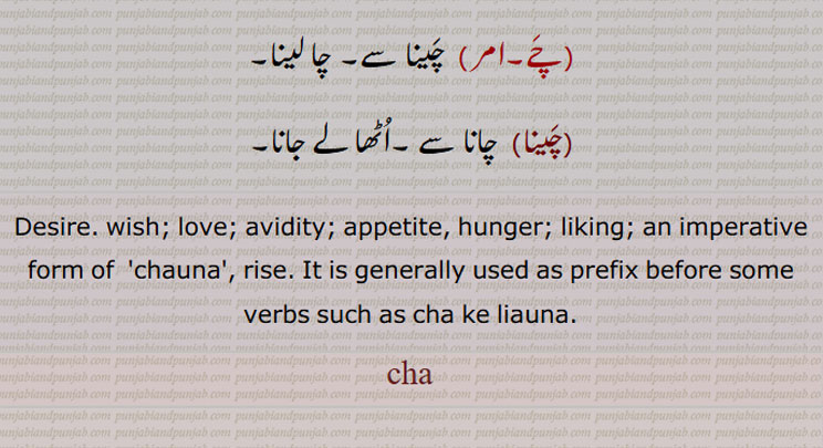 اُٹھایا, چایا, چُکّیا,چاتم, مَیں چاتا,چانا,   چَوٛنا یا چاپنا سے (دیکھو چَینا) = چُکنا= چاؤنا,اُٹھانا,پروانٛگی دینا, اختیار کرنا, سن٘بھالنا, مانع نہ ہونا,کسی کو خراب کام پر اُبھارنا,قُدرت کا نباتات اُگانا, خود اُگنا، مثلاً جنٛگل بیلے سبزی چائی,ذمہ داری اُٹھانا, بوجھ سہارنا, چاوَنا,چانا,چانا بھانا,اُٹھا بِٹھانا, آنے جانے والے کا خیال رکھنا, مال ڈنٛگر کے اُٹھنے بیٹھنے کا دھیان رکھنا,چانا چوانا,چُکنا چُکانا, اُکسانا,چانٛدی, اُٹھا لائی,چانٛدی,چاواں, چُکّواں, جو اُٹھایا جاسکے,چاواں چُلّھا, وہ چُلھا جِس کو اُٹھا کر انٛدر یا باہر لے جایا جا سکے,وہ آدمی جو ٹِکوِیں طبعیت یا پُختہ رائے والا نہ ہو,چاوَاں لاوَنا, بھڑکانا, اِشتعال دِلانا,چاوَنا, چُکّنا,اُٹھانا,چانا,چھوڑنا, دینا, مثلاّ رکھن چاوَنا بمعنی رکھ دینا,چاؤنا,چانا,چاوے چاہوَنِیاں,انٛدرُونی جذباتِ انتظار کو برانٛگیختہ کرنا,چائی چوائی, چُکّ چُکائی, چُکًنے کا فعل, اُٹھانے کی حالت,چائی رکّھن والا, چا آوَن والا, حامِل,چائیاں,اُٹھائیں,چائِیو,چایو, تُم نے اُٹھا لِیا, مثلاً دِل چایو بمعنی دِل اُٹھا لِیا یعنی تُم برگشتہ خاطر ہو گئے,چائِیوس,چایا,چُکیا, اُٹھایا,Desire. wish; love; avidity; appetite, hunger; liking; an imperative form of  'chauna', rise. It is generally used as prefix before some verbs such as cha ke liauna.,ch - cha,ਚਾ 
