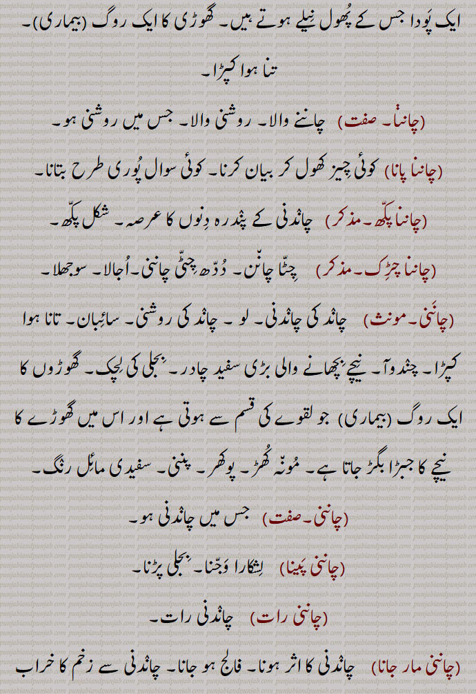 
چانن,چنن, روشنی۔ لو, جوت, پرکاش,چاند کی روشنی,چانن آنا,سمجھ آنا,چانن چراغ/ چراکھ ہو جانا/ہونا, دِن چڑھ جانا,بیہودگی پر اتر آنا,چانن منارا,چانن ہونا,سمجھ میں آنا,چانن پاونا,گل کھول کے بتانا,چانن دی پیلی,,
 گھوڑی کا ایک بیماری,  تنا ہوا کپڑا,چاننا پانا,چاننا پکھ,چاننا چڑک,  چِٹا چانن, سوجھلا,چاننی, مونہ کھڑ, پوکھر, پننی, سفیدی مائل رنگ,چاننی,چاننی پینا, بجلی پڑنا,چاننی مار جانا, 
چاندنی کا اثر ہونا, فالج ہو جانا,بجلی چمکنے سے فصل کا ناس ہو جانا ,کنکری,  Light; radiance, brightness, luminosity, luminousness; illumination; enlightenment; dawn,chaanan hona/ho jana, chaanan lagg jaana, ਚਾਨਣ ਹੋਜਾਣਾ, ਚਾਨਣ ਲੱਗ ਜਾਣਾ ,chaanan karna,  ਚਾਨਣ ਕਰਨਾ ,chaanan monara,  ਚਾਨਣ ਮੁਨਾਰਾ ,Lighthouse, beacon, guiding star,chaanna, ਚਾਨਣਾ,chaanan,ਚਾਨਣ ,chaanna pakhh,  ਚਾਨਣਾ ਪੱਖ , lunar month,chaanni, ਚਾਨਣੀ,chaann pana/paona,  ਚਾਨਣਾ ਪਾਉਣਾ,chaanni,  ਚਾਣਨੀ, ਚਾਨਣੀ, Moon or star-light;  light; an awning, a disease of horses,chaann, ਚਾਨਣ,moonlight; lightning that damages certain crops,chaanna, ਚਾਨਣਾ ,chaanani raat, ਚਾਨਣੀ ਰਾਤ,chaanani maar jaani, chaanan, ਚਾਨਣ, 