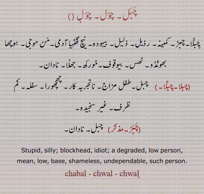   چبل, چول, chabal, chawal ,ਚਬਲ, ਚਵਲ਼ , چبلا, چبڑ, کمینہ, سفلہ, چھچھورہ,  stupid, silly, idiot. shameless. 