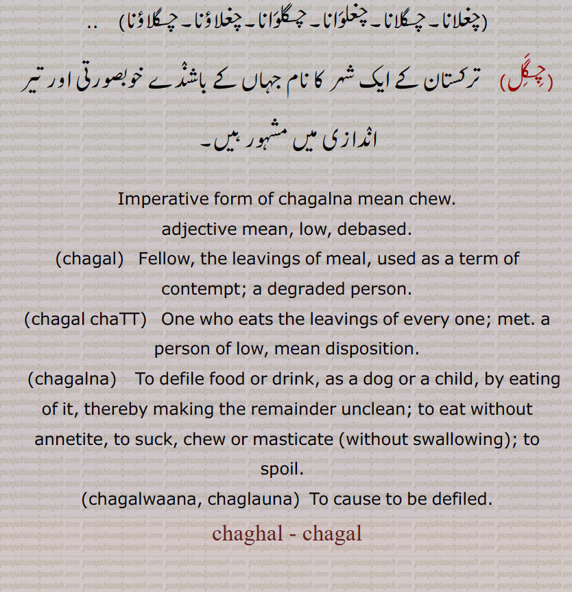  چغل,چغل,چگل,چگّل ,منھ میں چبا کر باہر نکالی ہوئی چیز,جوٹھ,اگال,بہتوں کی استعمال شدہ چیز,چغل,چغل,چگل,چگّل, پھوہڑ,بدتمیز,جو ایک بات پر نہ ٹھہرے,بھوکی نیت والا, نیچ آدمی, آوارا,چغلنا,چگلْنا, آہستہ آہستہ اور دیر تک چبانا, منھ میں پھیرنا یعنی پپولنا, بھوک یا شوق یا مزے کے بغیر کھانا,چغل پنا, چگل پنا,چغل ہونے کی حالت یا فعل, نیچ کام, اچاہٹی,چغل چٹ,چگل چٹ)    وہ جو ہر ایک کےجھوٹے  چھوڑے ہوئے کھانے کو کھا جائے,وہ جس کا گزارا جوٹھ پر ہو,کمینہ, نیچ طبیعت رکھنے والا, ایک کم اور گھٹیا مزاج کا شخص,چغلانا,چگلانا,چغلوانا,چگلوانا,چغلاؤنا,چگلاؤنا,    ,چگل,  ترکستان کے ایک شہر کا نام جہاں کے باشندے خوبصورتی اور تیر اندازی میں مشہور ہیں, Imperative form of chagalna mean chew.adjective mean, low, debased.,chagal,  Fellow, the leavings of meal, used as a term of contempt; a degraded person.,chagal chaTT, One who eats the leavings of every one; met. a person of low, mean disposition.,chagalna, To defile food or drink, as a dog or a child, by eating of it, thereby making the remainder unclean; to eat without annetite, to suck, chew or masticate (without swallowing); to spoil.  ,chagalwaana, chaglauna, To cause to be defiled.,chaghal - chagal, ਚਗਲ , ਚਗਲਨਾ , To defile food or drink, as a dog or a child, by eating of it, thereby making the remainder unclean; to eat without annetite.,ਚਗਲਾਉਣਾ , 