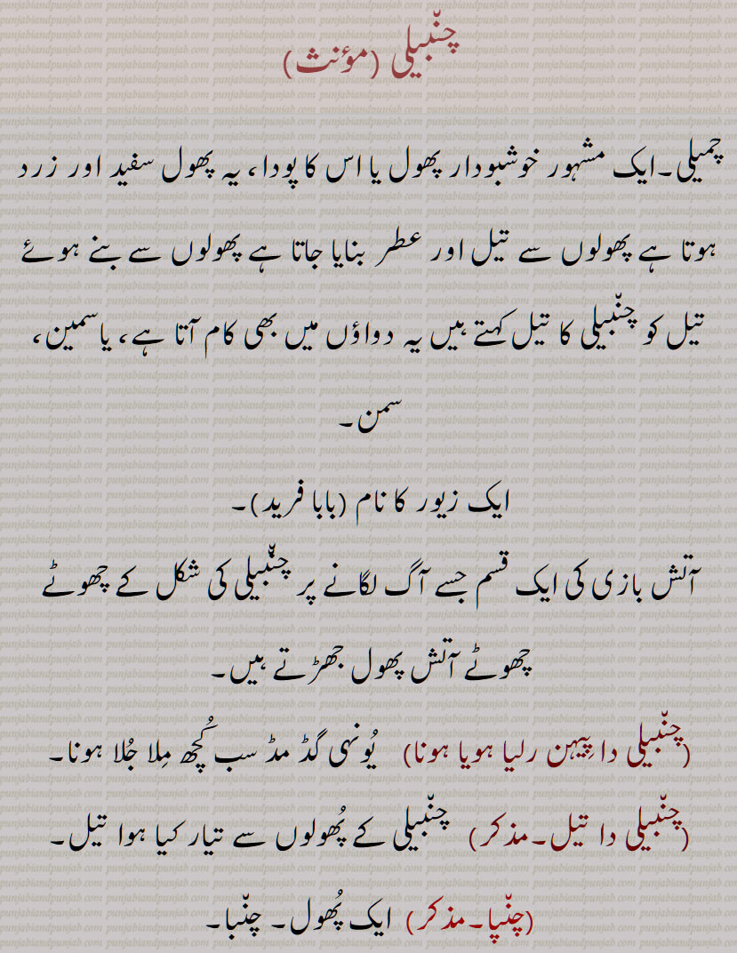 چمیلی, چنبیلی, خوشبودار پھول یا پودا، , سفید اور زرد ,تیل اور عطر بنایا جاتا ہے ,, یاسمین، سمن,ایک زیور کا نام ,آتش بازی کی ایک قسم ,چنبیلی دا پِیہن رلیا ہویا ہونا ,چنبیلی دا تیل,چنپا, چنبا,چنپا کلی,چامکلی۔,چونپکلی,چونبکلی, چمپا کلی, چونیا کلی,چنبیلیا,بھورے رنگ کا کبوتر, Jessamine; Jasminum grandiflorum, Spanish jasmine, Royal jasmine, Catalan jasmine,  Sicilian jasmine, chambeli da tel, chaNbeli, chambali, chambeli , chaNbeli,  ਚੰਬੇਲੀ chambeli,  چمیلی, چنبیلی,  plant, پودا