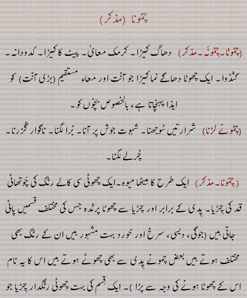   ਚਮੂਣੇ ਲੜਨੇ ,ਮੂਣਾ,  ਚਮੂਣੇ, ,چمونا ,چمونہ, دھاگ کیڑا, کرمک معایٰ, پیٹ کا کیڑا, کدودانہ, گنڈوا, ایک چھوٹا دھاگے نما کیڑا جو آنت اور معاء مستقیم (بڑی آنت)  کو ایذا پہنچاتا ہے، بالخصوص بچوں کو,چمونے لڑنا,   شرارتیں سوجھنا, شہوت جوش پر آنا, برا لگنا, ناگوار گزرنا, چرلے لگنا, چمونا, ایک طرح کا میٹھا میوہ,ایک چھوٹی سی کالے رنگ کی چوتھائی قد کی چڑیا, پدی کے برابر اور چڑیا سے چھوٹا پرندہ جس کی مختلف قسمیں پائی جاتی ہیں (جوگی، دیسی، سرخ اور خورد بہت مشہور ہیں ان کے رنگ بھی مختلف ہوتے ہیں بعض چمونے پدی سے بھی چھوٹے ہوتے ہیں اس کا یہ نام اس کے چھوٹا ہونے کی وجہ سے پڑا ), ایک قسم کی بہت چھوٹی رنگدار چڑیا جو عموماً  پنجروں میں رکھے ہیں, ایک قسم کا چھوٹا لال پنچھی, چچونا, چمونہ, چمونا, چلونا,چمونی,  چموتی,Pinworm, usually, plural chamoone, minute organism, causing irritation in skin especially in the, anal region, small bird.,chamoone laRna, To feel irritation of skin or uneasiness in rectum; slang. to be fidgety/restless.,chamoona,chamuna, 