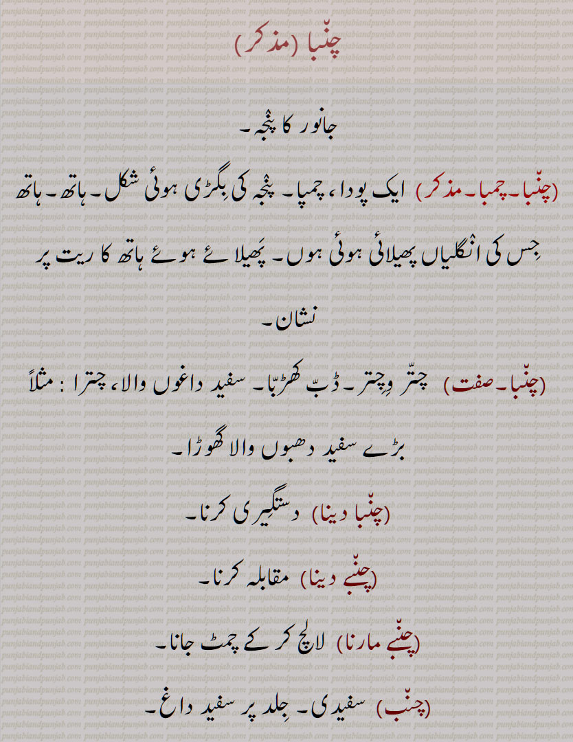 چ٘با , جانور کا پنجہ, چمبا,ایک پودا، چمپا, پنجہ کی بگڑی ہوئی شکل,ہاتھ,  چتر وچتر,ڈب کھڑبا, سفید داغوں والا، چترا , سفید دھبوں والا گھوڑا,چنبا دینا, چنبے دینا, چنبے مارنا, چنب , جلد پر سفید داغ,چمبہ, سرخ جِلد پر بھوری چتیوں والا گھوڑا,  Panjah,a hand , chaNba, chambha, Having large white spots , chaNba