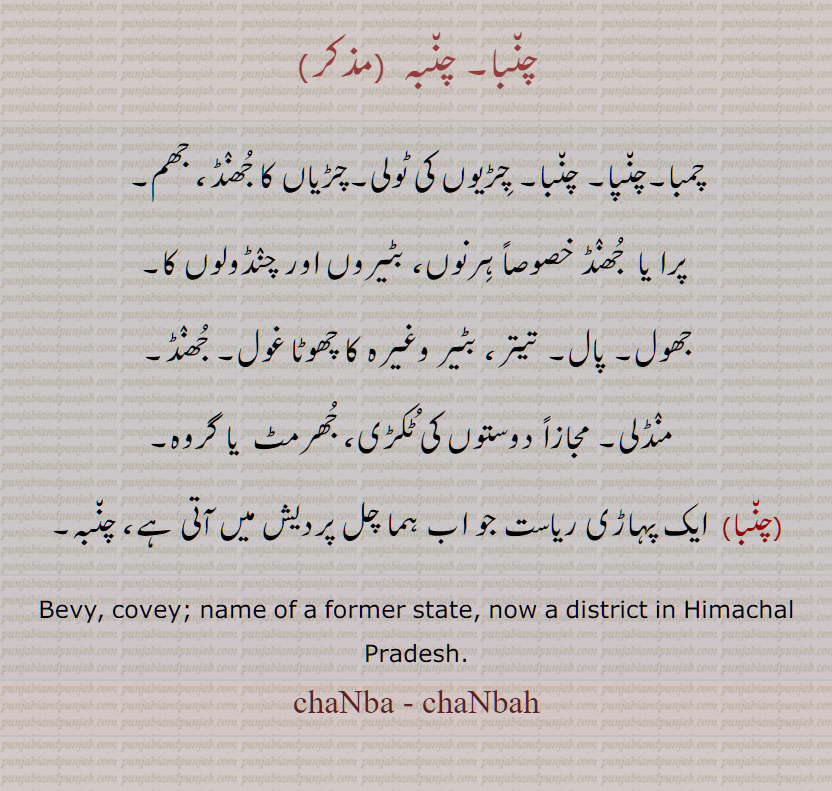 چنبا, چنبہ  , چمبا,چنپا,چڑیاں کا جھنڈ,جھول, پال, غول, جھنڈ,منڈلی, ٹکڑی، جھرمٹ  ,گروہ, پہاڑی ریاست,چن٘بہ,Bevy, covey; name of a former state, now a district in Himachal Pradesh, chaNba , chaNbah, ਚੰਪਾ, ਚਨਬਾ, ਚਨਬਾਹ , ਚੰਬਾ,