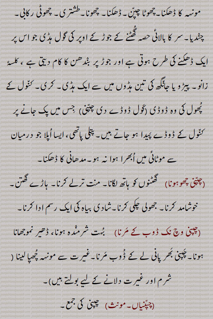  چپن۔ مٹی کا برتن۔ ہانڈی۔ گھڑے یا چاٹی کا ڈھکن۔ ڈھکنا۔ سرپوش۔ چھچھلا کٹورا۔ دبی ہوئی یا نیچی ہاڑ کا کٹورا۔ چھونی۔ اینٹو۔ کسی کی خاطر کام کرنا۔ بے وقوف۔ اجڈ۔ احمق۔ چپن چلھا۔ چاپڑ چلھا۔ چپن ٹینڈا۔ چپن کدو۔ کدو کی قسم ڈبری۔چوڑا ہونا۔ چپٹا ہونا۔ جھکن۔ ہار ماننا۔ مقابلہ کرنا گھرنا۔ پچکنا۔ کچل جانا۔ داب میں پڑنا۔ خجل ہونا۔ شرمندہ ۔ جھینپن۔ عیب سے شرمانا۔ خاموش ہو جانا۔ چپ ہو جانا۔ برباد ہونا۔ چپنی۔ گھڑے کا ڈھکن۔ سر کا بالائی حصہ۔ گھٹنے کے جوڑ کی ہڈی۔ کلسۂ زانو۔ پیڑو یا جانگھ کی تین ہڈیوں میں سے ایک ہڈی۔ کری۔ کنول کے پھول کی ڈوڈی کول ڈوڈے کی چپنی۔ پتلی پاتھی جو درمیان سے ابھری نہ ہو۔ مدھانی کا ڈھکنا۔گھٹنوں کا ہاتھ لگانا۔ منت تلے۔ شادی کی رسم۔ جھولی چکی ۔ خوشامد کرنا۔ ہاڑے کھتن۔ دھیر نمو جھانا۔ چپنی چھو ہونا۔ چپنی وچ نک ڈوب کے مرنا۔ چپنیاں۔ چپنیاں بھننا۔ چپنا۔ جم جانا۔ مقابلہ کرنا۔ اڑنا۔ کھجھنا۔ غصہ ہونا تلاطم میں برافروختہ ہونا۔ چڑنا۔ بھڑکنا۔ ناراض ہونا۔ چپنا۔ چیکنا۔ چمٹ جانا۔ جوڑنا۔ جڑ جانا۔ پٹ سن کے ریشے یا رسی کو پانی میں بھگو کر کوٹ کوٹ کر صاف کرنا۔ چپٹا کرنا۔ کوٹنا۔ کپڑے کو ٹھیکنا۔
lid or cover of a pot,chappna, chapna, ਚਪਣਾ,chappni,ਚਪੱਣੀ ،ਚਪੱਣ,The cover of an earthen vessel (made likewise of earth.), Dim. of Chappan. The cover of an earthen vessel with a small mouth, as a jar, ghara; the patella;—chappniaN bhanna, To break covers of earthen vessels by jumping from a basket, done by a bridegroom a little before starting for the bride's father's house on the day of marriage; also by boy who is to be vested with a sacred thread (janeu):—chappni vich nakk dob ke marna or marjana,   To dip the nose into a chappni and so to drown, i. e. to drown oneself in a spoonful of water; to be greatly ashamed; to be ready to die with shame:—kauldode di chappni,   The ripened seed vessel of the kaul, or so called Indian Lotus (Nelum bium speciosum.) The seeds are eaten and are also used medicinally 
 