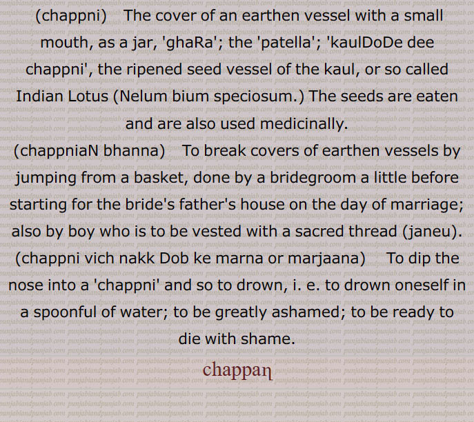  چپن۔ مٹی کا برتن۔ ہانڈی۔ گھڑے یا چاٹی کا ڈھکن۔ ڈھکنا۔ سرپوش۔ چھچھلا کٹورا۔ دبی ہوئی یا نیچی ہاڑ کا کٹورا۔ چھونی۔ اینٹو۔ کسی کی خاطر کام کرنا۔ بے وقوف۔ اجڈ۔ احمق۔ چپن چلھا۔ چاپڑ چلھا۔ چپن ٹینڈا۔ چپن کدو۔ کدو کی قسم ڈبری۔چوڑا ہونا۔ چپٹا ہونا۔ جھکن۔ ہار ماننا۔ مقابلہ کرنا گھرنا۔ پچکنا۔ کچل جانا۔ داب میں پڑنا۔ خجل ہونا۔ شرمندہ ۔ جھینپن۔ عیب سے شرمانا۔ خاموش ہو جانا۔ چپ ہو جانا۔ برباد ہونا۔ چپنی۔ گھڑے کا ڈھکن۔ سر کا بالائی حصہ۔ گھٹنے کے جوڑ کی ہڈی۔ کلسۂ زانو۔ پیڑو یا جانگھ کی تین ہڈیوں میں سے ایک ہڈی۔ کری۔ کنول کے پھول کی ڈوڈی کول ڈوڈے کی چپنی۔ پتلی پاتھی جو درمیان سے ابھری نہ ہو۔ مدھانی کا ڈھکنا۔گھٹنوں کا ہاتھ لگانا۔ منت تلے۔ شادی کی رسم۔ جھولی چکی ۔ خوشامد کرنا۔ ہاڑے کھتن۔ دھیر نمو جھانا۔ چپنی چھو ہونا۔ چپنی وچ نک ڈوب کے مرنا۔ چپنیاں۔ چپنیاں بھننا۔ چپنا۔ جم جانا۔ مقابلہ کرنا۔ اڑنا۔ کھجھنا۔ غصہ ہونا تلاطم میں برافروختہ ہونا۔ چڑنا۔ بھڑکنا۔ ناراض ہونا۔ چپنا۔ چیکنا۔ چمٹ جانا۔ جوڑنا۔ جڑ جانا۔ پٹ سن کے ریشے یا رسی کو پانی میں بھگو کر کوٹ کوٹ کر صاف کرنا۔ چپٹا کرنا۔ کوٹنا۔ کپڑے کو ٹھیکنا۔
lid or cover of a pot,chappna, chapna, ਚਪਣਾ,chappni,ਚਪੱਣੀ ،ਚਪੱਣ,The cover of an earthen vessel (made likewise of earth.), Dim. of Chappan. The cover of an earthen vessel with a small mouth, as a jar, ghara; the patella;—chappniaN bhanna, To break covers of earthen vessels by jumping from a basket, done by a bridegroom a little before starting for the bride's father's house on the day of marriage; also by boy who is to be vested with a sacred thread (janeu):—chappni vich nakk dob ke marna or marjana,   To dip the nose into a chappni and so to drown, i. e. to drown oneself in a spoonful of water; to be greatly ashamed; to be ready to die with shame:—kauldode di chappni,   The ripened seed vessel of the kaul, or so called Indian Lotus (Nelum bium speciosum.) The seeds are eaten and are also used medicinally 
 