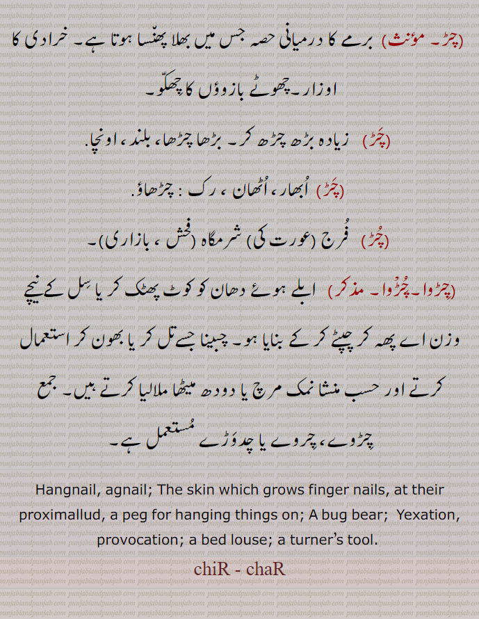   چڑ,chaR, chiR,ਚਡ਼, ਚਿਡ਼, ਚੜ, ਚਿੜ, چڑ, چڑ ,ناخن کے ساتھ کا گوشت کا حصہ,,, ناخن کا اچڑا ہوا گوشت, انگلیوں کا گوشت جس میں سے ناخن اگتے ہیں,کیلی, چیزیں ٹانگنے والی کھونٹی,تتنا, چڑھ, چہڑ, ضد, ہٹھ, کھجنے کی حالت, کھجھ, ایسی بات یا حرکت جس سے کوئی چڑے, تنگ کرنا, دل لگی,  کوئی فعل بات یا چیز جس سے ناگواری الجھن بیزاری یا نفرات پیدا ہو,چھیڑ چھاڑ, مذاق کی بات, وہ بات یا چیز جس سے کوئی خفا یا ناراض ہوتا ہو,کلمۂ تفریح, کھجی, جلن حسد, غصہ,, بستر یا چارپائی میں پڑی ہوئی ایک قسم کی جوں, مانگنو, کھٹمل, ہؤآ,بلا, ڈراوا,چڑ, مؤنث)   شاخ یا لکڑی کے ٹوٹنے یا چٹخنے کی آواز؛ کپڑے کے پھٹنے کی آواز,برمے کا درمیانی حصہ جس میں بھلا پھنسا ہوتا ہے, خرادی کا اوزار,چھوٹے بازوؤں کا چھکو, زیادہ بڑھ چڑھ کر, بڑھا چڑھا، بلند، اونچا.,  ابھار، اٹھان ، رک : چڑھاؤ,  فرج (عورت کی) شرمگاہ ,,چڑوا,چڑْوا.  ابلے ہوۓ دھان کو کوٹ پھٹک کر یا سل کے نیچے وزن اے پھہ کر چپٹے کر کے بنایا ہو, چبینا جسےتل کر یا بھون کر استعمال کرتے اور حسب منشا نمک مرچ یا دودھ میٹھا ملالیا کرتے ہیں, جمع چڑوے، چروے یا چدوڑے مستعمل ہے.Hangnail, agnail; The skin which grows finger nails, at their proximallud, a peg for hanging things on; A bug bear;  Yexation, provocation; a bed louse; a turner’s tool.  