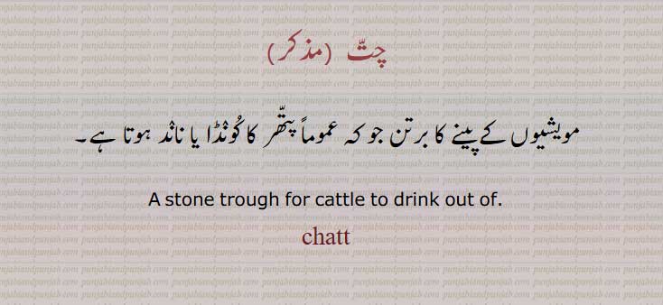  چت,مویشیوں کے پینے کا برتن ,,ਚਤੱ ,chatt ,چتّ,  for cattle to drink ,,  