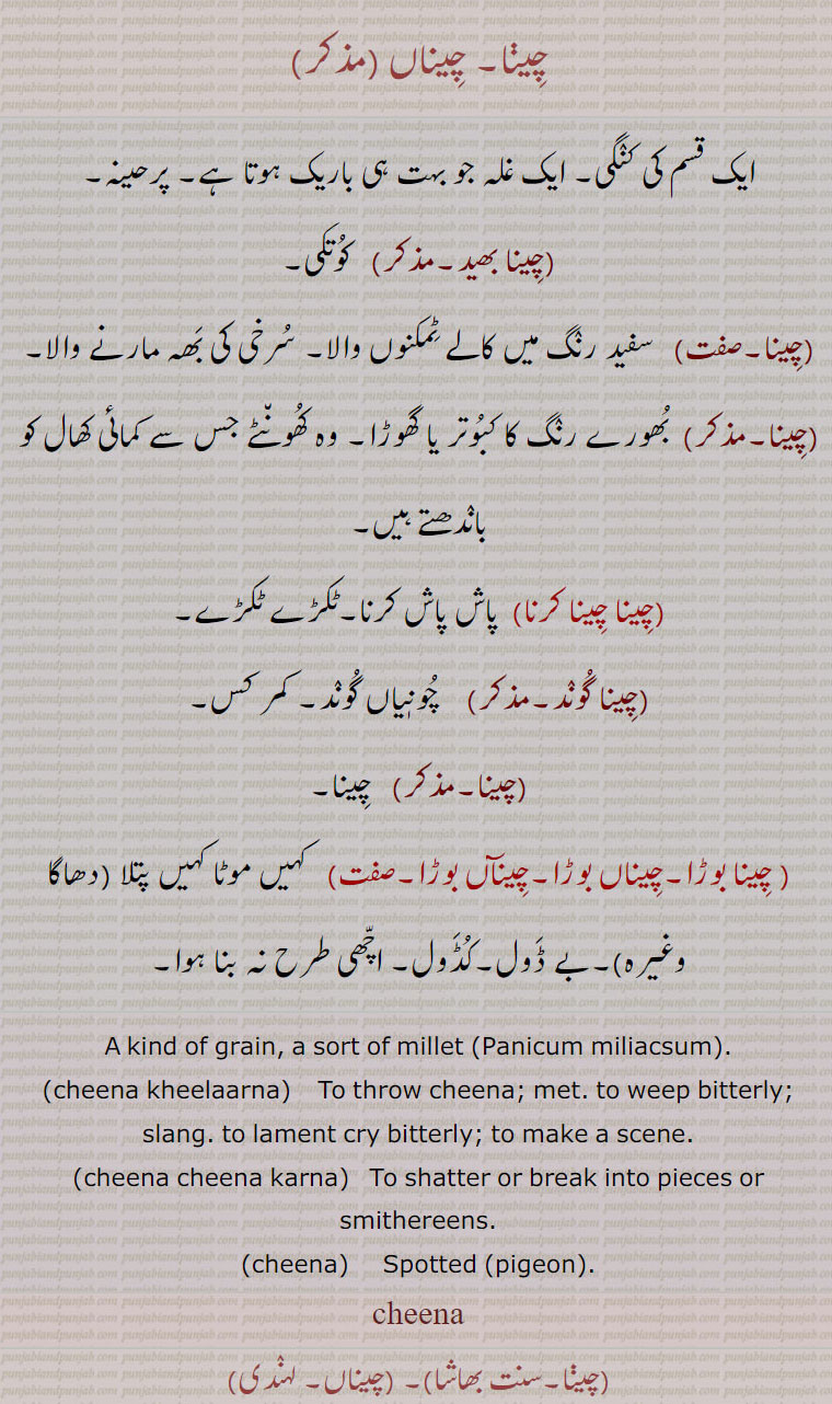    ,چینا بھید,چینا چینا کرنا,چینا گوند, چینا بوڑا,چیناں بوڑا,چیناں بوڑا,cheena kheelaarna, ਚੀਣਾ ਖਿਲਾਰਨਾ,cheena cheena karna, ਚੀਣਾ ਚੀਣਾ ਕਰਨਾ,cheena,  ਚੀਨਾ cheena , ਚੀਣਾ  ,ਚੀਨਾ چیڽا, چیناں ,ایک قسم کی کنگی, ایک غلہ جو بہت ہی باریک ہوتا ہے, پرحینہ,چینا بھید, کوتکی,چینا,سفید رنگ میں کالے ٹمکنوں والا, سرخی کی بھہ مارنے والا, بھورے رنگ کا کبوتر یا گھوڑا, وہ کھونٹے جس سے کمائی کھال کو باندھتے ہیں,چینا چینا کرنا, پاش پاش کرنا,ٹکڑے ٹکڑے,چینا گوند,  چونٖیاں گوند, کمر کس,چینا, چینا,چینا بوڑا,چیناں بوڑا,چینآں بوڑا,   کہیں موٹا کہیں پتلا (دھاگا وغیرہ),بے ڈول,کڈول, اچھی طرح نہ بنا ہوا,A kind of grain, a sort of millet (Panicum miliacsum).,cheena kheelaarna,    To throw cheena; met. to weep bitterly; slang. to lament cry bitterly; to make a scene.,cheena cheena karna,To shatter or break into pieces or smithereens.,cheena, Spotted (pigeon),cheena,,china 