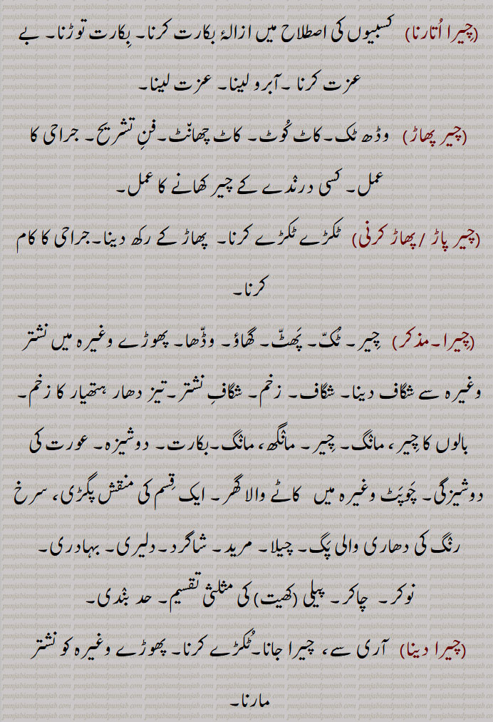   چیر,  چیرنا ,کپڑا, وستر,دھجی, لیر, کپڑے کی پٹی, کترن, دوپٹہ,
 چیرنے سے جو پھٹ ( چھید) ہو جائے, شگاف, زخم, درز, خراش, پھٹ, وڈھا, ٹک,کاٹ, چبھک, مانگ,سر کے بالوں کو نکھیڑنے والی دھیر, چیرن, ایک گوند چیڑھ, کاغذ کے ملیدہ کا ترتیب وار ڈھیر,عورتوں کی دوشیزگی,,  غلبہ, بزرگی,,چیر پھاڑ / پاڑ,   پھوڑے یا لکڑی وغیرہ کے چیرنے کا کام, جراحی, وڈًھ ٹک ,چیر آؤنا, شگاف ہو جانا, چر جانا, زخم آ جانا, شق ہو جانا,زخم لگ جانا, چر جانا,,چیر کڈھنا, مانگ نکالنا,,چیر پاؤنا,  آری وغیرہ سے چیر دینا,,چیرا اتارنا, کسبیوں کی اصطلاح میں ازالۂ بکارت کرنا, بکارت توڑنا, بے عزت کرنا ,آبرو لینا, عزت لینا,,چیر پھاڑ, وڈھ ٹک,کاٹ کوٹ, کاٹ چھانٹ,فن تشریح, جراحی کا عمل, کسی درندے کے چیر کھانے کا عمل,,چیر پاڑ / پھاڑ کرنی,   ٹکڑے ٹکڑے کرنا,  پھاڑ کے رکھ دینا,جراحی کا کام کرنا,,چیرا,  چیر, ٹک, پھٹ, گھاؤ, وڈھا, پھوڑے وغیرہ میں نشتر وغیرہ سے شگاف دینا, شگاف, زخم, شگاف نشتر,تیز دھار ہتھیار کا زخم, بالوں کا چیر، مانگ, چیر, مانگھ، مانگ,بکارت, دوشیزہ, عورت کی دوشیزگی, چوپٹ وغیرہ میں   کاٹے والا گھر, ایک قسم کی منقش پگڑی، سرخ رنگ کی دھاری والی پگ, چیلا, مرید, شاگرد,دلیری, بہادری,,نوکر,  چاکر, پیلی (کھیت) کی مثلثی تقسیم, حد بندی,,چیرا دینا, آری سے،  چیرا جانا,ٹکڑے کرنا, پھوڑے وغیرہ کو نشتر مارنا,,چیرہ توڑنا, چیرا اتارنا,,چیرا دینا,چیرا لگانا,  پھوڑا وغیرہ چیرنا, شگاف دینا, زخم لگانا, نشتر مارنا,,چیرائی, چرائی,,چیرا لگنا,  چھکڑی میں ارد گرد کی قطاروں میں آٹھ گھروں میں سے  نیچے کے چوتھے گھر پر جو چیرے کا نشان ہوتا ہے، اس پر گوٹ کا آ جانا، جہاں وہ مرتی نہیں,,چیرم,سر کا چیر, چیرن,,چیرن,سر کے بالوں کو دو حصوں میں بانٹنے والی لکیر, چیر, چیرم,,چیرنا, پاڑنا, وڈھنا, کٹنا, کلہاڑی ,,  آری کا کاٹ کر کھولنا, پھاڑنا, نشتر سے کھولنا (پھوڑا وغیرہ), ایک اوزار جس سے ہاتھی دانت میں چوڑیوں کی کٹائی کے گہرے نشان لگائے جاتے ہیں, عبور کرنا, گزرنا,,چیرنی,  چیرمی, ساگ سبزی کی مٹھ, اتنی سبزی جتنی ایک بار مٹًھی میں پکڑ کر چیری جا سکے, چیرن, سر کے بالوں کو دو حصوں میں بانٹنے والی لکیر, چیر, ایک درخت, چھیڑو,,چیڑو, چیرنے والا, چیڑو, گلہ بان,,چیرواں,  چیر کر بیچ سے گزرا ہوا, چیرا ہوا, چیرنے لائق, جو چیرا جا سکے, چیرے والا, جس میں چیر ہو, چیریا ہویا, وکھ کیتا ہویا,,چیرواں, چیرویں, چیرون,,   کاٹ کر کھولی ہوئی کھجور جو خشک کی ہوئی ہو, سوکھے ہوئے بیر,,چیرون,  چیرواں,,چیرویں,چیرواں, کھجور جس میں سے گٹک نکال دی گئی ہو, سوکھے ہوئے بیر, چری ہوئی, منجی بنن دا اک ڈھنگ,,چیرویں کنی,چادر کھیس وغیرہ کی کنی جس میں کوئی دوسرے رنگ کی باریک دھاری ڈالی ہوئی ہوتی ہے,,چیری,چیرنی, باندی, کنیز, چھوکری,نوکرانی, گولی, لونڈی, چیلی, مریدنی, شاگردنی, چھوٹا چیرا,, "چٹھی,رقعہ, خط, پروانہ, مجازاً اعمال نامہ,کتر, دھجی,,چیرویں کوڈی,وہ کوڑی جس میں کھلینے والے کو مخالفین سے چیر کر جانا ہوتا ہے,,چیریا  پھاڑیا,  پھٹا ہوا,,چیرنا, پھاڑنا, ٹکڑے کرنا, شگاف دینا, شق کرنا, چرانا, لینا جیسے مال چیرنا,تراشنا,کاٹنا جیسے تختے چیرنا, پھٹ ,  لانا,وڈھنا,عبور کرنا,طے کرنا,,چیرو, کچی اینٹیں, اوڈاں دیاں اٹاں, کھیت میں گیلی مٹی کو داتری سے چیر کے بنائی اینٹیں,رنگیا ہویا سوتر,گچھا, لچھا,سرخ رنگ کا کچا سوت جو ولایت سے آتا ہے,, چیرے,  چیرا کی جمع,,چیرے بند,دوشیزہ, کنواری عورت,باکرہ, چیرا باندھنے والا,دستار بند,, چیرے والا,وہ شخص جو چیرا باندھے یعنی پگڑی والا, حکیم, طبیب, بید, معالج,کنگنی کی ہو یعنی جس نے بال سنوارے ہوئے ہوں,مجازاً محبوب,, Slit, rent, rip, tear, fissure; slit made with a saw; slight cut in skin; parting line of hair,cheer aauna,  ਚੀਰ ਆਉਣਾ ,To get a slight cut in skin,cheer kaDhna, ਚੀਰ ਕੱਢਣਾ, To part the hair,cheerna,ਚੀਰਨਾ,To saw, slit, cut, split; to tear, apart, rend, rip,cheerni, ਚੀਰਨੀ , Parting line of hair; a single handful of leafy vegetable to be cut,cheer pauna,  ਚੀਰ ਪਾਉਣਾ, To saw, make a slit,chrre phaaR, ਚੀਰ ਫਾੜ, Surgery, vivisection, dissection, incision, surgical operation, tearing into pieces, laceration,cheer phaaR karni, ਚੀਰ ਫਾੜ ਕਰਨੀ,To incise, dissect, vivisect, operate upon,cheerwaaN, ਚੀਰਵਾਂ adjective Cutting, incisive; sharp,cheera,   ਚੀਰਾ, Cut, incision, lancing (as of a boil); red coloured or striped turban,cheera dena, ਚੀਰਾ ਦੇਣਾ , Incise, lance, operate upon,cheera banhna, ਚੀਰਾ ਬੰਨ੍ਹਣਾ, To wear, tie, don, ਚੀਰ , cheer ,  چیر, chir,