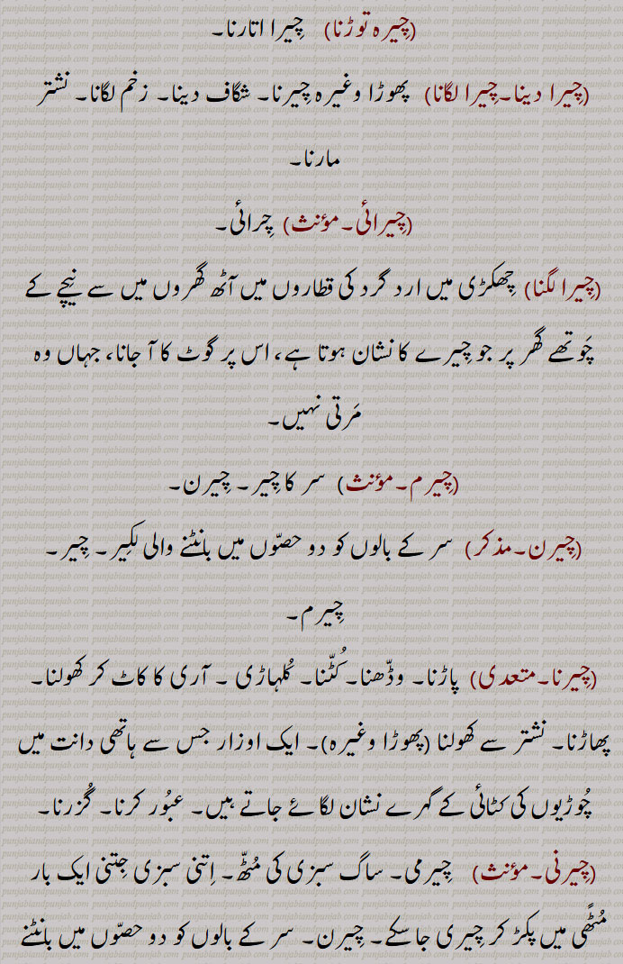   چیر,  چیرنا ,کپڑا, وستر,دھجی, لیر, کپڑے کی پٹی, کترن, دوپٹہ,
 چیرنے سے جو پھٹ ( چھید) ہو جائے, شگاف, زخم, درز, خراش, پھٹ, وڈھا, ٹک,کاٹ, چبھک, مانگ,سر کے بالوں کو نکھیڑنے والی دھیر, چیرن, ایک گوند چیڑھ, کاغذ کے ملیدہ کا ترتیب وار ڈھیر,عورتوں کی دوشیزگی,,  غلبہ, بزرگی,,چیر پھاڑ / پاڑ,   پھوڑے یا لکڑی وغیرہ کے چیرنے کا کام, جراحی, وڈًھ ٹک ,چیر آؤنا, شگاف ہو جانا, چر جانا, زخم آ جانا, شق ہو جانا,زخم لگ جانا, چر جانا,,چیر کڈھنا, مانگ نکالنا,,چیر پاؤنا,  آری وغیرہ سے چیر دینا,,چیرا اتارنا, کسبیوں کی اصطلاح میں ازالۂ بکارت کرنا, بکارت توڑنا, بے عزت کرنا ,آبرو لینا, عزت لینا,,چیر پھاڑ, وڈھ ٹک,کاٹ کوٹ, کاٹ چھانٹ,فن تشریح, جراحی کا عمل, کسی درندے کے چیر کھانے کا عمل,,چیر پاڑ / پھاڑ کرنی,   ٹکڑے ٹکڑے کرنا,  پھاڑ کے رکھ دینا,جراحی کا کام کرنا,,چیرا,  چیر, ٹک, پھٹ, گھاؤ, وڈھا, پھوڑے وغیرہ میں نشتر وغیرہ سے شگاف دینا, شگاف, زخم, شگاف نشتر,تیز دھار ہتھیار کا زخم, بالوں کا چیر، مانگ, چیر, مانگھ، مانگ,بکارت, دوشیزہ, عورت کی دوشیزگی, چوپٹ وغیرہ میں   کاٹے والا گھر, ایک قسم کی منقش پگڑی، سرخ رنگ کی دھاری والی پگ, چیلا, مرید, شاگرد,دلیری, بہادری,,نوکر,  چاکر, پیلی (کھیت) کی مثلثی تقسیم, حد بندی,,چیرا دینا, آری سے،  چیرا جانا,ٹکڑے کرنا, پھوڑے وغیرہ کو نشتر مارنا,,چیرہ توڑنا, چیرا اتارنا,,چیرا دینا,چیرا لگانا,  پھوڑا وغیرہ چیرنا, شگاف دینا, زخم لگانا, نشتر مارنا,,چیرائی, چرائی,,چیرا لگنا,  چھکڑی میں ارد گرد کی قطاروں میں آٹھ گھروں میں سے  نیچے کے چوتھے گھر پر جو چیرے کا نشان ہوتا ہے، اس پر گوٹ کا آ جانا، جہاں وہ مرتی نہیں,,چیرم,سر کا چیر, چیرن,,چیرن,سر کے بالوں کو دو حصوں میں بانٹنے والی لکیر, چیر, چیرم,,چیرنا, پاڑنا, وڈھنا, کٹنا, کلہاڑی ,,  آری کا کاٹ کر کھولنا, پھاڑنا, نشتر سے کھولنا (پھوڑا وغیرہ), ایک اوزار جس سے ہاتھی دانت میں چوڑیوں کی کٹائی کے گہرے نشان لگائے جاتے ہیں, عبور کرنا, گزرنا,,چیرنی,  چیرمی, ساگ سبزی کی مٹھ, اتنی سبزی جتنی ایک بار مٹًھی میں پکڑ کر چیری جا سکے, چیرن, سر کے بالوں کو دو حصوں میں بانٹنے والی لکیر, چیر, ایک درخت, چھیڑو,,چیڑو, چیرنے والا, چیڑو, گلہ بان,,چیرواں,  چیر کر بیچ سے گزرا ہوا, چیرا ہوا, چیرنے لائق, جو چیرا جا سکے, چیرے والا, جس میں چیر ہو, چیریا ہویا, وکھ کیتا ہویا,,چیرواں, چیرویں, چیرون,,   کاٹ کر کھولی ہوئی کھجور جو خشک کی ہوئی ہو, سوکھے ہوئے بیر,,چیرون,  چیرواں,,چیرویں,چیرواں, کھجور جس میں سے گٹک نکال دی گئی ہو, سوکھے ہوئے بیر, چری ہوئی, منجی بنن دا اک ڈھنگ,,چیرویں کنی,چادر کھیس وغیرہ کی کنی جس میں کوئی دوسرے رنگ کی باریک دھاری ڈالی ہوئی ہوتی ہے,,چیری,چیرنی, باندی, کنیز, چھوکری,نوکرانی, گولی, لونڈی, چیلی, مریدنی, شاگردنی, چھوٹا چیرا,, "چٹھی,رقعہ, خط, پروانہ, مجازاً اعمال نامہ,کتر, دھجی,,چیرویں کوڈی,وہ کوڑی جس میں کھلینے والے کو مخالفین سے چیر کر جانا ہوتا ہے,,چیریا  پھاڑیا,  پھٹا ہوا,,چیرنا, پھاڑنا, ٹکڑے کرنا, شگاف دینا, شق کرنا, چرانا, لینا جیسے مال چیرنا,تراشنا,کاٹنا جیسے تختے چیرنا, پھٹ ,  لانا,وڈھنا,عبور کرنا,طے کرنا,,چیرو, کچی اینٹیں, اوڈاں دیاں اٹاں, کھیت میں گیلی مٹی کو داتری سے چیر کے بنائی اینٹیں,رنگیا ہویا سوتر,گچھا, لچھا,سرخ رنگ کا کچا سوت جو ولایت سے آتا ہے,, چیرے,  چیرا کی جمع,,چیرے بند,دوشیزہ, کنواری عورت,باکرہ, چیرا باندھنے والا,دستار بند,, چیرے والا,وہ شخص جو چیرا باندھے یعنی پگڑی والا, حکیم, طبیب, بید, معالج,کنگنی کی ہو یعنی جس نے بال سنوارے ہوئے ہوں,مجازاً محبوب,, Slit, rent, rip, tear, fissure; slit made with a saw; slight cut in skin; parting line of hair,cheer aauna,  ਚੀਰ ਆਉਣਾ ,To get a slight cut in skin,cheer kaDhna, ਚੀਰ ਕੱਢਣਾ, To part the hair,cheerna,ਚੀਰਨਾ,To saw, slit, cut, split; to tear, apart, rend, rip,cheerni, ਚੀਰਨੀ , Parting line of hair; a single handful of leafy vegetable to be cut,cheer pauna,  ਚੀਰ ਪਾਉਣਾ, To saw, make a slit,chrre phaaR, ਚੀਰ ਫਾੜ, Surgery, vivisection, dissection, incision, surgical operation, tearing into pieces, laceration,cheer phaaR karni, ਚੀਰ ਫਾੜ ਕਰਨੀ,To incise, dissect, vivisect, operate upon,cheerwaaN, ਚੀਰਵਾਂ adjective Cutting, incisive; sharp,cheera,   ਚੀਰਾ, Cut, incision, lancing (as of a boil); red coloured or striped turban,cheera dena, ਚੀਰਾ ਦੇਣਾ , Incise, lance, operate upon,cheera banhna, ਚੀਰਾ ਬੰਨ੍ਹਣਾ, To wear, tie, don, ਚੀਰ , cheer ,  چیر, chir,