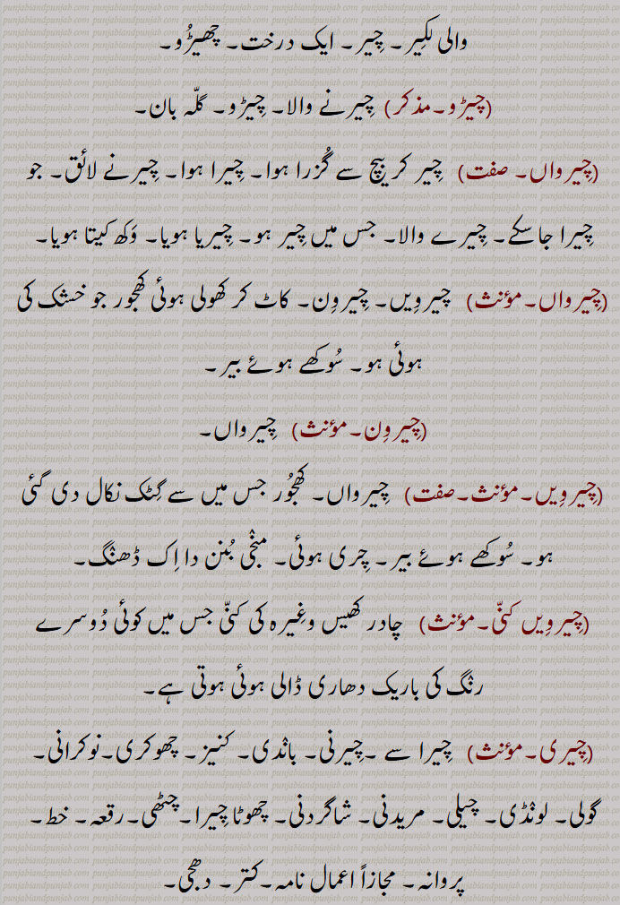   چیر,  چیرنا ,کپڑا, وستر,دھجی, لیر, کپڑے کی پٹی, کترن, دوپٹہ,
 چیرنے سے جو پھٹ ( چھید) ہو جائے, شگاف, زخم, درز, خراش, پھٹ, وڈھا, ٹک,کاٹ, چبھک, مانگ,سر کے بالوں کو نکھیڑنے والی دھیر, چیرن, ایک گوند چیڑھ, کاغذ کے ملیدہ کا ترتیب وار ڈھیر,عورتوں کی دوشیزگی,,  غلبہ, بزرگی,,چیر پھاڑ / پاڑ,   پھوڑے یا لکڑی وغیرہ کے چیرنے کا کام, جراحی, وڈًھ ٹک ,چیر آؤنا, شگاف ہو جانا, چر جانا, زخم آ جانا, شق ہو جانا,زخم لگ جانا, چر جانا,,چیر کڈھنا, مانگ نکالنا,,چیر پاؤنا,  آری وغیرہ سے چیر دینا,,چیرا اتارنا, کسبیوں کی اصطلاح میں ازالۂ بکارت کرنا, بکارت توڑنا, بے عزت کرنا ,آبرو لینا, عزت لینا,,چیر پھاڑ, وڈھ ٹک,کاٹ کوٹ, کاٹ چھانٹ,فن تشریح, جراحی کا عمل, کسی درندے کے چیر کھانے کا عمل,,چیر پاڑ / پھاڑ کرنی,   ٹکڑے ٹکڑے کرنا,  پھاڑ کے رکھ دینا,جراحی کا کام کرنا,,چیرا,  چیر, ٹک, پھٹ, گھاؤ, وڈھا, پھوڑے وغیرہ میں نشتر وغیرہ سے شگاف دینا, شگاف, زخم, شگاف نشتر,تیز دھار ہتھیار کا زخم, بالوں کا چیر، مانگ, چیر, مانگھ، مانگ,بکارت, دوشیزہ, عورت کی دوشیزگی, چوپٹ وغیرہ میں   کاٹے والا گھر, ایک قسم کی منقش پگڑی، سرخ رنگ کی دھاری والی پگ, چیلا, مرید, شاگرد,دلیری, بہادری,,نوکر,  چاکر, پیلی (کھیت) کی مثلثی تقسیم, حد بندی,,چیرا دینا, آری سے،  چیرا جانا,ٹکڑے کرنا, پھوڑے وغیرہ کو نشتر مارنا,,چیرہ توڑنا, چیرا اتارنا,,چیرا دینا,چیرا لگانا,  پھوڑا وغیرہ چیرنا, شگاف دینا, زخم لگانا, نشتر مارنا,,چیرائی, چرائی,,چیرا لگنا,  چھکڑی میں ارد گرد کی قطاروں میں آٹھ گھروں میں سے  نیچے کے چوتھے گھر پر جو چیرے کا نشان ہوتا ہے، اس پر گوٹ کا آ جانا، جہاں وہ مرتی نہیں,,چیرم,سر کا چیر, چیرن,,چیرن,سر کے بالوں کو دو حصوں میں بانٹنے والی لکیر, چیر, چیرم,,چیرنا, پاڑنا, وڈھنا, کٹنا, کلہاڑی ,,  آری کا کاٹ کر کھولنا, پھاڑنا, نشتر سے کھولنا (پھوڑا وغیرہ), ایک اوزار جس سے ہاتھی دانت میں چوڑیوں کی کٹائی کے گہرے نشان لگائے جاتے ہیں, عبور کرنا, گزرنا,,چیرنی,  چیرمی, ساگ سبزی کی مٹھ, اتنی سبزی جتنی ایک بار مٹًھی میں پکڑ کر چیری جا سکے, چیرن, سر کے بالوں کو دو حصوں میں بانٹنے والی لکیر, چیر, ایک درخت, چھیڑو,,چیڑو, چیرنے والا, چیڑو, گلہ بان,,چیرواں,  چیر کر بیچ سے گزرا ہوا, چیرا ہوا, چیرنے لائق, جو چیرا جا سکے, چیرے والا, جس میں چیر ہو, چیریا ہویا, وکھ کیتا ہویا,,چیرواں, چیرویں, چیرون,,   کاٹ کر کھولی ہوئی کھجور جو خشک کی ہوئی ہو, سوکھے ہوئے بیر,,چیرون,  چیرواں,,چیرویں,چیرواں, کھجور جس میں سے گٹک نکال دی گئی ہو, سوکھے ہوئے بیر, چری ہوئی, منجی بنن دا اک ڈھنگ,,چیرویں کنی,چادر کھیس وغیرہ کی کنی جس میں کوئی دوسرے رنگ کی باریک دھاری ڈالی ہوئی ہوتی ہے,,چیری,چیرنی, باندی, کنیز, چھوکری,نوکرانی, گولی, لونڈی, چیلی, مریدنی, شاگردنی, چھوٹا چیرا,, "چٹھی,رقعہ, خط, پروانہ, مجازاً اعمال نامہ,کتر, دھجی,,چیرویں کوڈی,وہ کوڑی جس میں کھلینے والے کو مخالفین سے چیر کر جانا ہوتا ہے,,چیریا  پھاڑیا,  پھٹا ہوا,,چیرنا, پھاڑنا, ٹکڑے کرنا, شگاف دینا, شق کرنا, چرانا, لینا جیسے مال چیرنا,تراشنا,کاٹنا جیسے تختے چیرنا, پھٹ ,  لانا,وڈھنا,عبور کرنا,طے کرنا,,چیرو, کچی اینٹیں, اوڈاں دیاں اٹاں, کھیت میں گیلی مٹی کو داتری سے چیر کے بنائی اینٹیں,رنگیا ہویا سوتر,گچھا, لچھا,سرخ رنگ کا کچا سوت جو ولایت سے آتا ہے,, چیرے,  چیرا کی جمع,,چیرے بند,دوشیزہ, کنواری عورت,باکرہ, چیرا باندھنے والا,دستار بند,, چیرے والا,وہ شخص جو چیرا باندھے یعنی پگڑی والا, حکیم, طبیب, بید, معالج,کنگنی کی ہو یعنی جس نے بال سنوارے ہوئے ہوں,مجازاً محبوب,, Slit, rent, rip, tear, fissure; slit made with a saw; slight cut in skin; parting line of hair,cheer aauna,  ਚੀਰ ਆਉਣਾ ,To get a slight cut in skin,cheer kaDhna, ਚੀਰ ਕੱਢਣਾ, To part the hair,cheerna,ਚੀਰਨਾ,To saw, slit, cut, split; to tear, apart, rend, rip,cheerni, ਚੀਰਨੀ , Parting line of hair; a single handful of leafy vegetable to be cut,cheer pauna,  ਚੀਰ ਪਾਉਣਾ, To saw, make a slit,chrre phaaR, ਚੀਰ ਫਾੜ, Surgery, vivisection, dissection, incision, surgical operation, tearing into pieces, laceration,cheer phaaR karni, ਚੀਰ ਫਾੜ ਕਰਨੀ,To incise, dissect, vivisect, operate upon,cheerwaaN, ਚੀਰਵਾਂ adjective Cutting, incisive; sharp,cheera,   ਚੀਰਾ, Cut, incision, lancing (as of a boil); red coloured or striped turban,cheera dena, ਚੀਰਾ ਦੇਣਾ , Incise, lance, operate upon,cheera banhna, ਚੀਰਾ ਬੰਨ੍ਹਣਾ, To wear, tie, don, ਚੀਰ , cheer ,  چیر, chir,