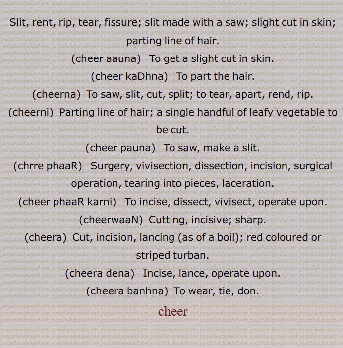   چیر,  چیرنا ,کپڑا, وستر,دھجی, لیر, کپڑے کی پٹی, کترن, دوپٹہ,
 چیرنے سے جو پھٹ ( چھید) ہو جائے, شگاف, زخم, درز, خراش, پھٹ, وڈھا, ٹک,کاٹ, چبھک, مانگ,سر کے بالوں کو نکھیڑنے والی دھیر, چیرن, ایک گوند چیڑھ, کاغذ کے ملیدہ کا ترتیب وار ڈھیر,عورتوں کی دوشیزگی,,  غلبہ, بزرگی,,چیر پھاڑ / پاڑ,   پھوڑے یا لکڑی وغیرہ کے چیرنے کا کام, جراحی, وڈًھ ٹک ,چیر آؤنا, شگاف ہو جانا, چر جانا, زخم آ جانا, شق ہو جانا,زخم لگ جانا, چر جانا,,چیر کڈھنا, مانگ نکالنا,,چیر پاؤنا,  آری وغیرہ سے چیر دینا,,چیرا اتارنا, کسبیوں کی اصطلاح میں ازالۂ بکارت کرنا, بکارت توڑنا, بے عزت کرنا ,آبرو لینا, عزت لینا,,چیر پھاڑ, وڈھ ٹک,کاٹ کوٹ, کاٹ چھانٹ,فن تشریح, جراحی کا عمل, کسی درندے کے چیر کھانے کا عمل,,چیر پاڑ / پھاڑ کرنی,   ٹکڑے ٹکڑے کرنا,  پھاڑ کے رکھ دینا,جراحی کا کام کرنا,,چیرا,  چیر, ٹک, پھٹ, گھاؤ, وڈھا, پھوڑے وغیرہ میں نشتر وغیرہ سے شگاف دینا, شگاف, زخم, شگاف نشتر,تیز دھار ہتھیار کا زخم, بالوں کا چیر، مانگ, چیر, مانگھ، مانگ,بکارت, دوشیزہ, عورت کی دوشیزگی, چوپٹ وغیرہ میں   کاٹے والا گھر, ایک قسم کی منقش پگڑی، سرخ رنگ کی دھاری والی پگ, چیلا, مرید, شاگرد,دلیری, بہادری,,نوکر,  چاکر, پیلی (کھیت) کی مثلثی تقسیم, حد بندی,,چیرا دینا, آری سے،  چیرا جانا,ٹکڑے کرنا, پھوڑے وغیرہ کو نشتر مارنا,,چیرہ توڑنا, چیرا اتارنا,,چیرا دینا,چیرا لگانا,  پھوڑا وغیرہ چیرنا, شگاف دینا, زخم لگانا, نشتر مارنا,,چیرائی, چرائی,,چیرا لگنا,  چھکڑی میں ارد گرد کی قطاروں میں آٹھ گھروں میں سے  نیچے کے چوتھے گھر پر جو چیرے کا نشان ہوتا ہے، اس پر گوٹ کا آ جانا، جہاں وہ مرتی نہیں,,چیرم,سر کا چیر, چیرن,,چیرن,سر کے بالوں کو دو حصوں میں بانٹنے والی لکیر, چیر, چیرم,,چیرنا, پاڑنا, وڈھنا, کٹنا, کلہاڑی ,,  آری کا کاٹ کر کھولنا, پھاڑنا, نشتر سے کھولنا (پھوڑا وغیرہ), ایک اوزار جس سے ہاتھی دانت میں چوڑیوں کی کٹائی کے گہرے نشان لگائے جاتے ہیں, عبور کرنا, گزرنا,,چیرنی,  چیرمی, ساگ سبزی کی مٹھ, اتنی سبزی جتنی ایک بار مٹًھی میں پکڑ کر چیری جا سکے, چیرن, سر کے بالوں کو دو حصوں میں بانٹنے والی لکیر, چیر, ایک درخت, چھیڑو,,چیڑو, چیرنے والا, چیڑو, گلہ بان,,چیرواں,  چیر کر بیچ سے گزرا ہوا, چیرا ہوا, چیرنے لائق, جو چیرا جا سکے, چیرے والا, جس میں چیر ہو, چیریا ہویا, وکھ کیتا ہویا,,چیرواں, چیرویں, چیرون,,   کاٹ کر کھولی ہوئی کھجور جو خشک کی ہوئی ہو, سوکھے ہوئے بیر,,چیرون,  چیرواں,,چیرویں,چیرواں, کھجور جس میں سے گٹک نکال دی گئی ہو, سوکھے ہوئے بیر, چری ہوئی, منجی بنن دا اک ڈھنگ,,چیرویں کنی,چادر کھیس وغیرہ کی کنی جس میں کوئی دوسرے رنگ کی باریک دھاری ڈالی ہوئی ہوتی ہے,,چیری,چیرنی, باندی, کنیز, چھوکری,نوکرانی, گولی, لونڈی, چیلی, مریدنی, شاگردنی, چھوٹا چیرا,, "چٹھی,رقعہ, خط, پروانہ, مجازاً اعمال نامہ,کتر, دھجی,,چیرویں کوڈی,وہ کوڑی جس میں کھلینے والے کو مخالفین سے چیر کر جانا ہوتا ہے,,چیریا  پھاڑیا,  پھٹا ہوا,,چیرنا, پھاڑنا, ٹکڑے کرنا, شگاف دینا, شق کرنا, چرانا, لینا جیسے مال چیرنا,تراشنا,کاٹنا جیسے تختے چیرنا, پھٹ ,  لانا,وڈھنا,عبور کرنا,طے کرنا,,چیرو, کچی اینٹیں, اوڈاں دیاں اٹاں, کھیت میں گیلی مٹی کو داتری سے چیر کے بنائی اینٹیں,رنگیا ہویا سوتر,گچھا, لچھا,سرخ رنگ کا کچا سوت جو ولایت سے آتا ہے,, چیرے,  چیرا کی جمع,,چیرے بند,دوشیزہ, کنواری عورت,باکرہ, چیرا باندھنے والا,دستار بند,, چیرے والا,وہ شخص جو چیرا باندھے یعنی پگڑی والا, حکیم, طبیب, بید, معالج,کنگنی کی ہو یعنی جس نے بال سنوارے ہوئے ہوں,مجازاً محبوب,, Slit, rent, rip, tear, fissure; slit made with a saw; slight cut in skin; parting line of hair,cheer aauna,  ਚੀਰ ਆਉਣਾ ,To get a slight cut in skin,cheer kaDhna, ਚੀਰ ਕੱਢਣਾ, To part the hair,cheerna,ਚੀਰਨਾ,To saw, slit, cut, split; to tear, apart, rend, rip,cheerni, ਚੀਰਨੀ , Parting line of hair; a single handful of leafy vegetable to be cut,cheer pauna,  ਚੀਰ ਪਾਉਣਾ, To saw, make a slit,chrre phaaR, ਚੀਰ ਫਾੜ, Surgery, vivisection, dissection, incision, surgical operation, tearing into pieces, laceration,cheer phaaR karni, ਚੀਰ ਫਾੜ ਕਰਨੀ,To incise, dissect, vivisect, operate upon,cheerwaaN, ਚੀਰਵਾਂ adjective Cutting, incisive; sharp,cheera,   ਚੀਰਾ, Cut, incision, lancing (as of a boil); red coloured or striped turban,cheera dena, ਚੀਰਾ ਦੇਣਾ , Incise, lance, operate upon,cheera banhna, ਚੀਰਾ ਬੰਨ੍ਹਣਾ, To wear, tie, don, ਚੀਰ , cheer ,  چیر, chir,