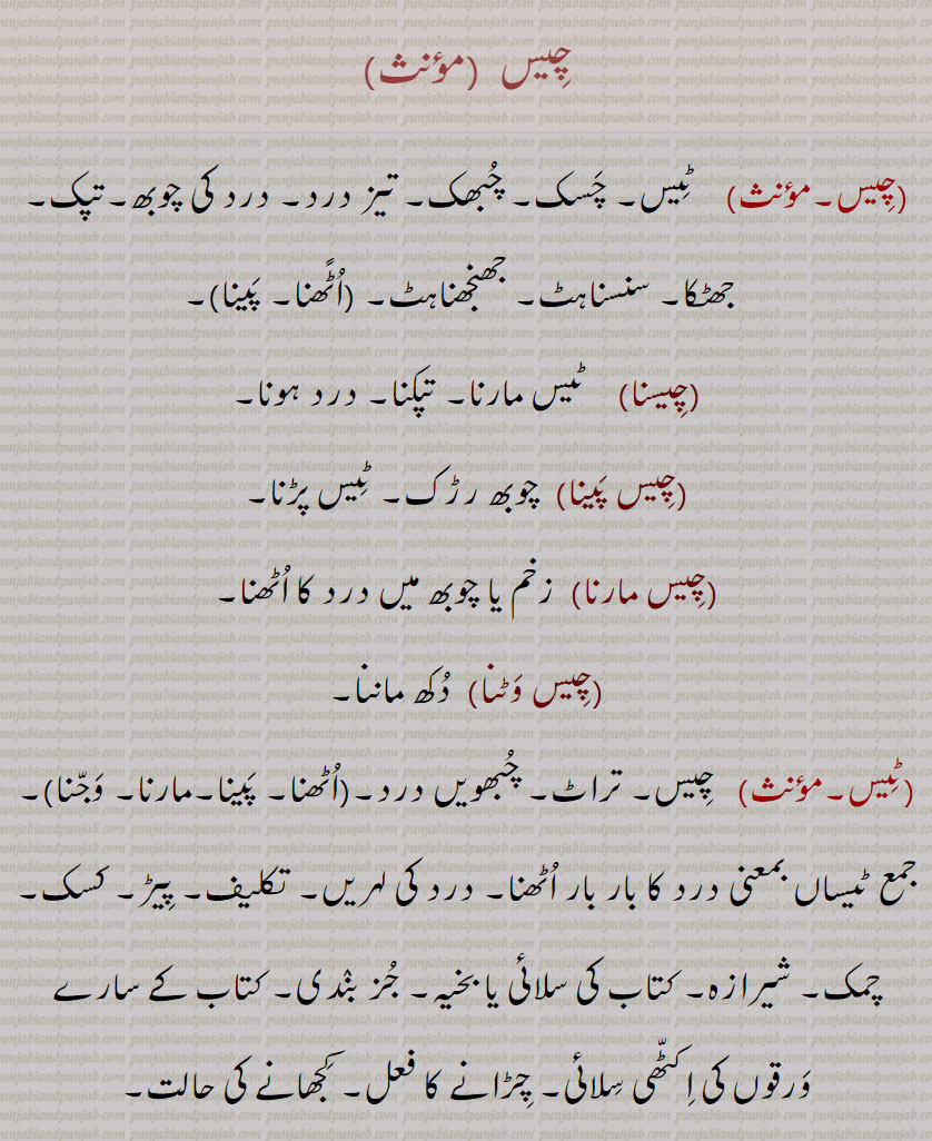   chees, Tees,چیس,ٹیس, چسک, چبھک, تیز درد, درد کی چوبھ,تپک,جھٹکا, سنسناہٹ,ਚੀਸ جھنجھناہٹ,چیس  اٹًھنا, چیس پینا ,چیسنا,ٹیس مارنا, تپکنا, درد ہونا,چیس پینا, چوبھ رڑک, ٹیس پڑنا,چیس مارنا ,زخم یا چوبھ میں درد کا اٹھنا,چیس وٹنا,دکھ ماننا,ٹیس,   چیس, تراٹ, چبھویں درد,,چیس اٹھنا, پینا,چیس مارنا,چیس وجنا, جمع ٹیساں بمعنی درد کا بار بار اٹھنا, درد کی لہریں,تکلیف, پیڑ, کسک, چمک, شیرازہ, کتاب کی سلائی یا بخیہ, جز بندی, کتاب کے سارے ورقوں کی اکٹھی سلائی, چڑانے کا فعل, کجھانے کی حالت,ٹیس ٹیس کرنا,   شرارت کرنا, چھیڑ کرنا,ٹیس مارنا,درد کرنا, تپکنا,ٹیسنا,,دھڑکنا, پھرکنا, ٹیس مارنا,چیس,  چنگھاڑ, چیخ,ٹیسی,ٹیشی,چوٹی, درخت کا سب سے اوپر کا حصہ, سکھر, اونچی جگہ کا استھان,چوٹی (پہاڑ کی),ٹیسو,  کیسو,  ,Butea frondosa,Throbbing of a sore, a sharp pain; chees honi, chees paini, chees maarni, chees uTThni, Tees.,Tees, The throbbing of a sore, a sharp shooting pain; Tees honi, Tees paini, Tees maarni, Tees uTTni; chees.,chis,ਚੀਸ, ਟੀਸ 