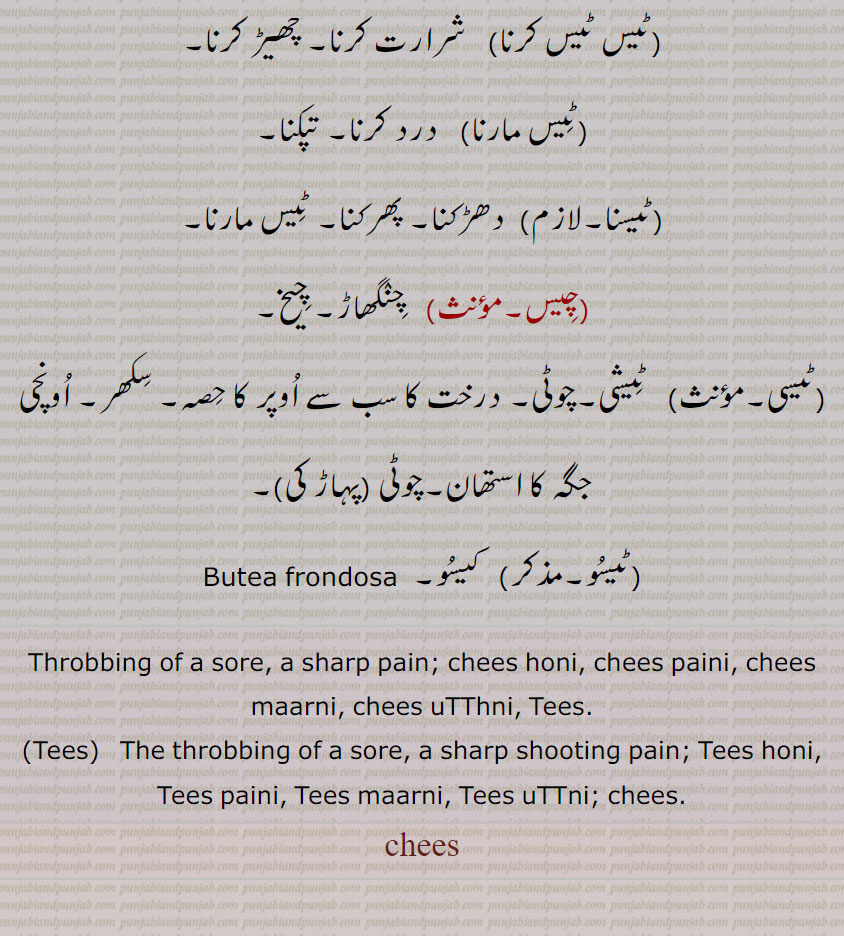   chees, Tees,چیس,ٹیس, چسک, چبھک, تیز درد, درد کی چوبھ,تپک,جھٹکا, سنسناہٹ,ਚੀਸ جھنجھناہٹ,چیس  اٹًھنا, چیس پینا ,چیسنا,ٹیس مارنا, تپکنا, درد ہونا,چیس پینا, چوبھ رڑک, ٹیس پڑنا,چیس مارنا ,زخم یا چوبھ میں درد کا اٹھنا,چیس وٹنا,دکھ ماننا,ٹیس,   چیس, تراٹ, چبھویں درد,,چیس اٹھنا, پینا,چیس مارنا,چیس وجنا, جمع ٹیساں بمعنی درد کا بار بار اٹھنا, درد کی لہریں,تکلیف, پیڑ, کسک, چمک, شیرازہ, کتاب کی سلائی یا بخیہ, جز بندی, کتاب کے سارے ورقوں کی اکٹھی سلائی, چڑانے کا فعل, کجھانے کی حالت,ٹیس ٹیس کرنا,   شرارت کرنا, چھیڑ کرنا,ٹیس مارنا,درد کرنا, تپکنا,ٹیسنا,,دھڑکنا, پھرکنا, ٹیس مارنا,چیس,  چنگھاڑ, چیخ,ٹیسی,ٹیشی,چوٹی, درخت کا سب سے اوپر کا حصہ, سکھر, اونچی جگہ کا استھان,چوٹی (پہاڑ کی),ٹیسو,  کیسو,  ,Butea frondosa,Throbbing of a sore, a sharp pain; chees honi, chees paini, chees maarni, chees uTThni, Tees.,Tees, The throbbing of a sore, a sharp shooting pain; Tees honi, Tees paini, Tees maarni, Tees uTTni; chees.,chis,ਚੀਸ, ਟੀਸ 