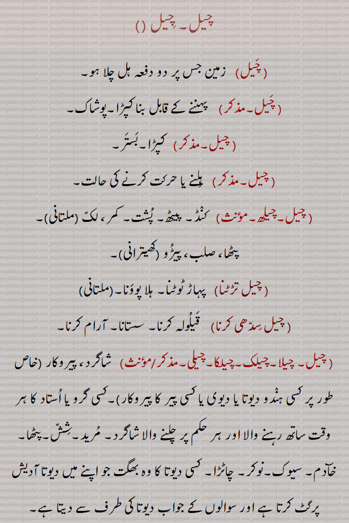  چیل,چیلھ,کمر, لکّ ,چیل تڑٹنا,چیل سِدّھی کرنا,چیلکی,چِیل پَٹّی,,سفید چِیل  گنٛجا,چِیل دا مُوت,چِیڑھ,چیڑ,بروزہ ,chel,cheelak,chel, cheel, ਚੇਲ ,ਚੇਲਾ,ਚੇਲਡ਼ੀ, ਚੇਲਕੀ, ਚੇਲਾ ਚਾਟੜਾ, ਚੇਲਾ ਚਾਟਾ,ਚੇਲਾ ਬਾਲਕਾ,
ਚੀਲ, ਚੀਲਾ, ਚੀਲਕ , ਇੱਲ ,ਚੇਲਕੀ, ਚੀਲ੍,ਚੀਹਲ,ਚੀੱਲਾ,ਚੀਲ੍ਹ,,chelki,ਚੇਲਕੀ, ਚੀਲ੍،kite, Falco chila،Pine tree, Pinus excelsa or longifolia, 