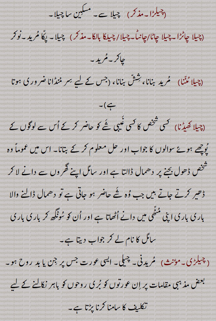  چیل,چیلھ,کمر, لکّ ,چیل تڑٹنا,چیل سِدّھی کرنا,چیلکی,چِیل پَٹّی,,سفید چِیل  گنٛجا,چِیل دا مُوت,چِیڑھ,چیڑ,بروزہ ,chel,cheelak,chel, cheel, ਚੇਲ ,ਚੇਲਾ,ਚੇਲਡ਼ੀ, ਚੇਲਕੀ, ਚੇਲਾ ਚਾਟੜਾ, ਚੇਲਾ ਚਾਟਾ,ਚੇਲਾ ਬਾਲਕਾ,
ਚੀਲ, ਚੀਲਾ, ਚੀਲਕ , ਇੱਲ ,ਚੇਲਕੀ, ਚੀਲ੍,ਚੀਹਲ,ਚੀੱਲਾ,ਚੀਲ੍ਹ,,chelki,ਚੇਲਕੀ, ਚੀਲ੍،kite, Falco chila،Pine tree, Pinus excelsa or longifolia, 
