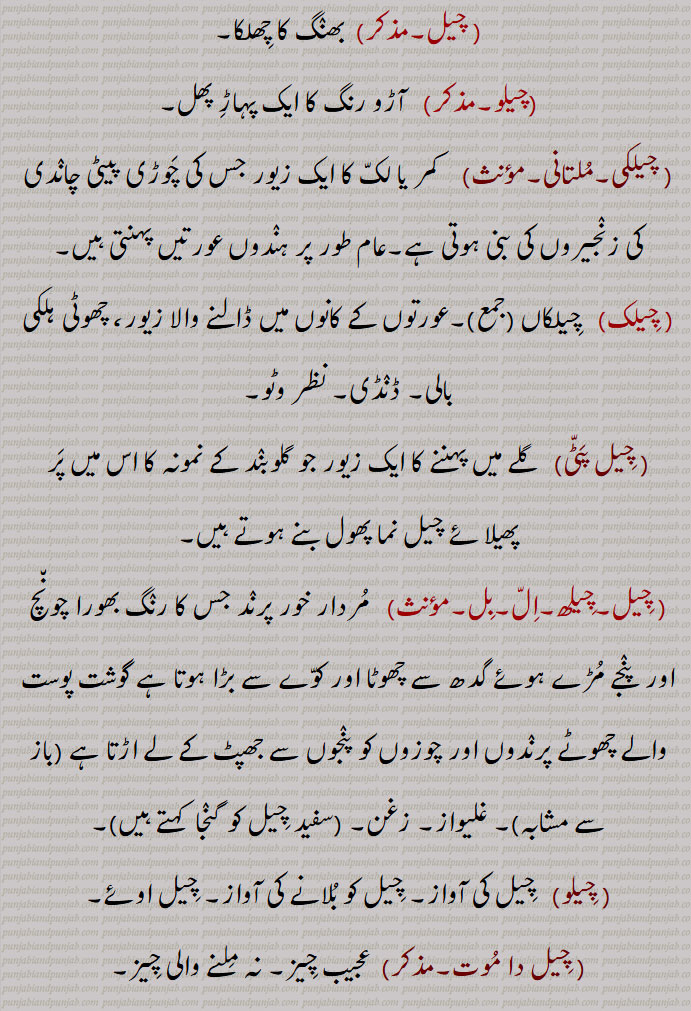  چیل,چیلھ,کمر, لکّ ,چیل تڑٹنا,چیل سِدّھی کرنا,چیلکی,چِیل پَٹّی,,سفید چِیل  گنٛجا,چِیل دا مُوت,چِیڑھ,چیڑ,بروزہ ,chel,cheelak,chel, cheel, ਚੇਲ ,ਚੇਲਾ,ਚੇਲਡ਼ੀ, ਚੇਲਕੀ, ਚੇਲਾ ਚਾਟੜਾ, ਚੇਲਾ ਚਾਟਾ,ਚੇਲਾ ਬਾਲਕਾ,
ਚੀਲ, ਚੀਲਾ, ਚੀਲਕ , ਇੱਲ ,ਚੇਲਕੀ, ਚੀਲ੍,ਚੀਹਲ,ਚੀੱਲਾ,ਚੀਲ੍ਹ,,chelki,ਚੇਲਕੀ, ਚੀਲ੍،kite, Falco chila،Pine tree, Pinus excelsa or longifolia, 