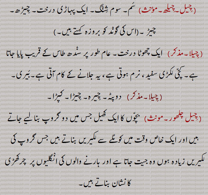  چیل,چیلھ,کمر, لکّ ,چیل تڑٹنا,چیل سِدّھی کرنا,چیلکی,چِیل پَٹّی,,سفید چِیل  گنٛجا,چِیل دا مُوت,چِیڑھ,چیڑ,بروزہ ,chel,cheelak,chel, cheel, ਚੇਲ ,ਚੇਲਾ,ਚੇਲਡ਼ੀ, ਚੇਲਕੀ, ਚੇਲਾ ਚਾਟੜਾ, ਚੇਲਾ ਚਾਟਾ,ਚੇਲਾ ਬਾਲਕਾ,
ਚੀਲ, ਚੀਲਾ, ਚੀਲਕ , ਇੱਲ ,ਚੇਲਕੀ, ਚੀਲ੍,ਚੀਹਲ,ਚੀੱਲਾ,ਚੀਲ੍ਹ,,chelki,ਚੇਲਕੀ, ਚੀਲ੍،kite, Falco chila،Pine tree, Pinus excelsa or longifolia, 
