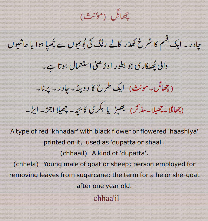    چھائل,chhaail, ਛਾਇਲ, chhela, ਛੇਲਾ,دوپٹہ,شال,چادر,چھائلا,چھیلا, 