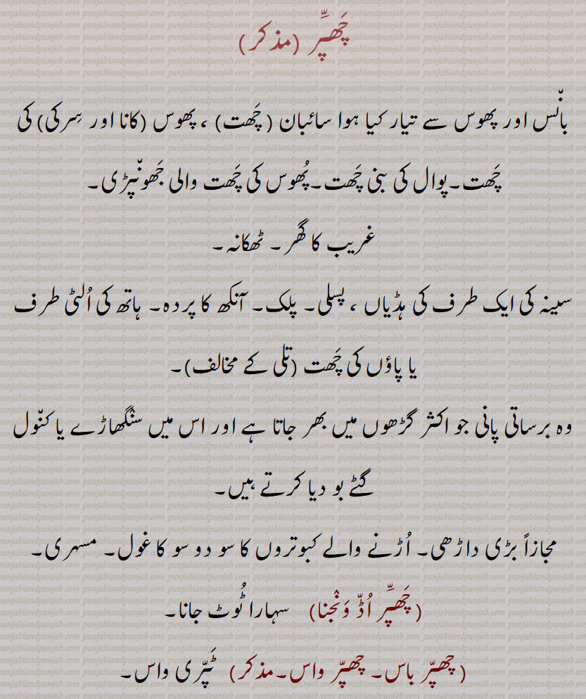  چھپر,چھپر اڈ ونجنا, چھپر باس, چھپر واس,چھپر بانس,چھپر بند, چھپر بنھنا,چھپر پھاڑ کے دینا, چھپر پاؤنا, چھپر گھتنا, چھپر کھاٹ, چھپر کھٹ, چھپر کھٹ, چھپرا, چھپری, چھپری پا کے بہنا,چھپرے,چھپر نکیئے, chhapparbaas, chhappri, chhappar pauna, chhappar bannhana, chhappar ,chhappar, ,ਛਪੱਰ,  ਛਪੱਰੀ, ਛੱਪਰ ਪਾਉਣਾ, ਛੱਪਰ ਬੰਨ੍ਹਣਾ,
  چھپر, ,chhappar, ,ਛਪੱਰ,
