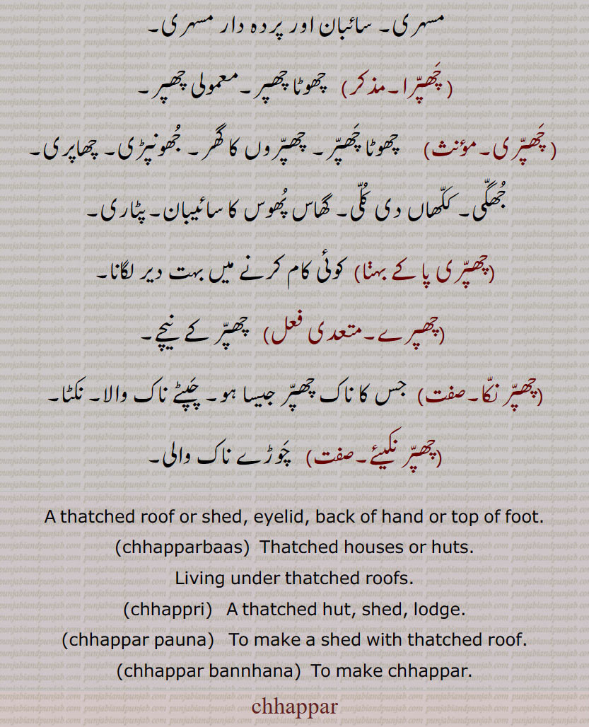  چھپر,چھپر اڈ ونجنا, چھپر باس, چھپر واس,چھپر بانس,چھپر بند, چھپر بنھنا,چھپر پھاڑ کے دینا, چھپر پاؤنا, چھپر گھتنا, چھپر کھاٹ, چھپر کھٹ, چھپر کھٹ, چھپرا, چھپری, چھپری پا کے بہنا,چھپرے,چھپر نکیئے, chhapparbaas, chhappri, chhappar pauna, chhappar bannhana, chhappar ,chhappar, ,ਛਪੱਰ,  ਛਪੱਰੀ, ਛੱਪਰ ਪਾਉਣਾ, ਛੱਪਰ ਬੰਨ੍ਹਣਾ,
  چھپر, ,chhappar, ,ਛਪੱਰ,