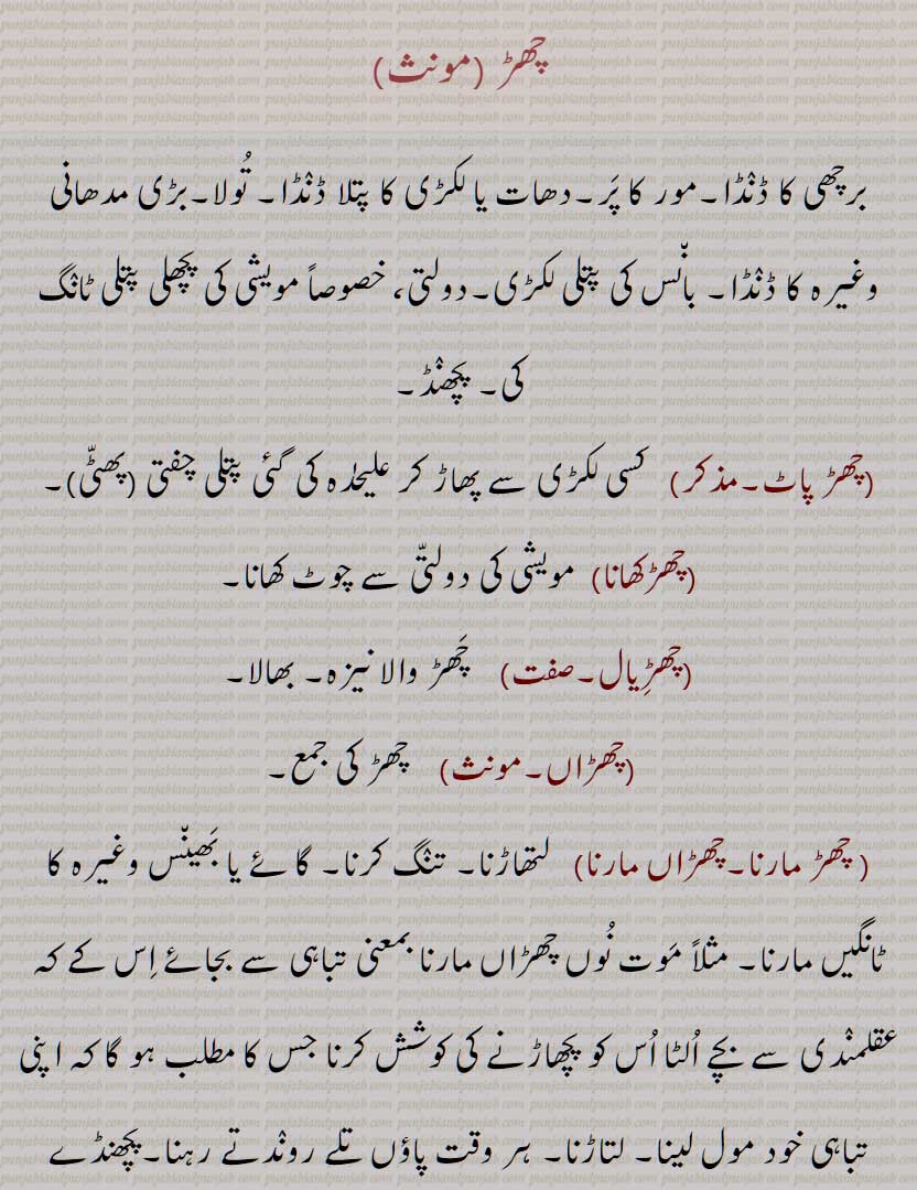  چھڑ,برچھی کا ڈنڈا,مور کا پر,دھات یا لکڑی کا پتلا ڈنڈا, تولا,بڑی مدھانی وغیرہ کا ڈنڈا, بانس کی پتلی لکڑی,دولتی، خصوصاً مویشی کی پچھلی پتلی ٹانگ کی, پچھنڈ, چھڑ پاٹ, چھڑکھانا, چھڑیال, چھڑاں,  چھڑ مارنا,چھڑاں مارنا, چھڑاں کڈھنا, چھھڑیلا,چھڑیل, چھڑیلی, چھڑ چھنڈک کے , چھڑ مارنا, چھڑانا, چھڑائی, چھڑنا, چھڑیجنا, چھڑ وجن,چھڑاونا, چھڑلا, چھڑوانا, چھڑیال, چھڑی, چھڑیاں, چھڑیاں دی مار, چھڑین, چھڑیون, چھڑ, چھڑ پلتا, چھڑ پلیا, چھڑ چھریلا, چھڑ گڈی, چھڑیلا, A bamboo or pole used for a spear handle; the pole of spear; a kind of medicine; kick by kine; shepherd's lopper, pruning hook; pole spike, long metallic rod, shaft, chhaR maarna, chhaR maarni, chhaRai, chhaRauna, chhaRi, chhaReeyaaN, chhaRila, chhaReeli, chhaRna, chhaR, chhaRaaN marna, chhaRna, chhaRwauna, chhaRauna, chhaRwai, chhuRan, chhaRguDDi, chhaRpalliya, chhaR, ਛਡ਼, ਛਡ਼ਾਈ, ਛਡ਼ਾਉਣਾ, ਛਡ਼ੀ, ਛਡ਼ੀਲਾ,  ਛਡ਼ੀਲੀ, ਛਡ਼ਨਾ, ਛੜ, ਛੜਨਾ, ਛੜਾਂ ਮਾਰਨੀਆਂ, ਛੜ ਮਾਰਨੀ, ਛੜਵਾਉਣਾ, ਛੜਵਾਈ, ਛੜਵਾਉਣਾ, ਛੜਾਉਣਾ, ਛੜਾਈ, ਛੜੀ, 