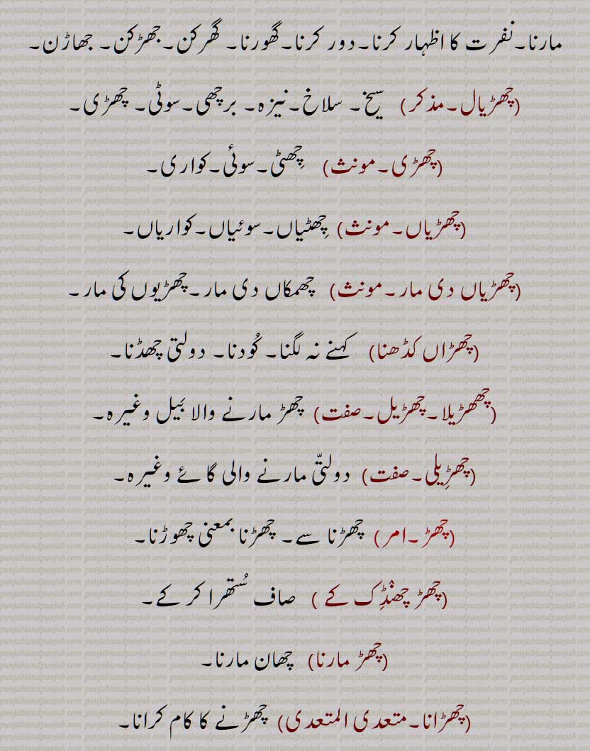  چھڑ,برچھی کا ڈنڈا,مور کا پر,دھات یا لکڑی کا پتلا ڈنڈا, تولا,بڑی مدھانی وغیرہ کا ڈنڈا, بانس کی پتلی لکڑی,دولتی، خصوصاً مویشی کی پچھلی پتلی ٹانگ کی, پچھنڈ, چھڑ پاٹ, چھڑکھانا, چھڑیال, چھڑاں,  چھڑ مارنا,چھڑاں مارنا, چھڑاں کڈھنا, چھھڑیلا,چھڑیل, چھڑیلی, چھڑ چھنڈک کے , چھڑ مارنا, چھڑانا, چھڑائی, چھڑنا, چھڑیجنا, چھڑ وجن,چھڑاونا, چھڑلا, چھڑوانا, چھڑیال, چھڑی, چھڑیاں, چھڑیاں دی مار, چھڑین, چھڑیون, چھڑ, چھڑ پلتا, چھڑ پلیا, چھڑ چھریلا, چھڑ گڈی, چھڑیلا, A bamboo or pole used for a spear handle; the pole of spear; a kind of medicine; kick by kine; shepherd's lopper, pruning hook; pole spike, long metallic rod, shaft, chhaR maarna, chhaR maarni, chhaRai, chhaRauna, chhaRi, chhaReeyaaN, chhaRila, chhaReeli, chhaRna, chhaR, chhaRaaN marna, chhaRna, chhaRwauna, chhaRauna, chhaRwai, chhuRan, chhaRguDDi, chhaRpalliya, chhaR, ਛਡ਼, ਛਡ਼ਾਈ, ਛਡ਼ਾਉਣਾ, ਛਡ਼ੀ, ਛਡ਼ੀਲਾ,  ਛਡ਼ੀਲੀ, ਛਡ਼ਨਾ, ਛੜ, ਛੜਨਾ, ਛੜਾਂ ਮਾਰਨੀਆਂ, ਛੜ ਮਾਰਨੀ, ਛੜਵਾਉਣਾ, ਛੜਵਾਈ, ਛੜਵਾਉਣਾ, ਛੜਾਉਣਾ, ਛੜਾਈ, ਛੜੀ, 