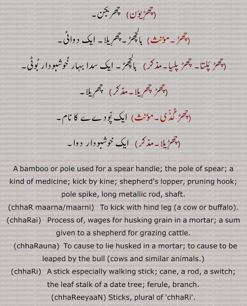  چھڑ,برچھی کا ڈنڈا,مور کا پر,دھات یا لکڑی کا پتلا ڈنڈا, تولا,بڑی مدھانی وغیرہ کا ڈنڈا, بانس کی پتلی لکڑی,دولتی، خصوصاً مویشی کی پچھلی پتلی ٹانگ کی, پچھنڈ, چھڑ پاٹ, چھڑکھانا, چھڑیال, چھڑاں,  چھڑ مارنا,چھڑاں مارنا, چھڑاں کڈھنا, چھھڑیلا,چھڑیل, چھڑیلی, چھڑ چھنڈک کے , چھڑ مارنا, چھڑانا, چھڑائی, چھڑنا, چھڑیجنا, چھڑ وجن,چھڑاونا, چھڑلا, چھڑوانا, چھڑیال, چھڑی, چھڑیاں, چھڑیاں دی مار, چھڑین, چھڑیون, چھڑ, چھڑ پلتا, چھڑ پلیا, چھڑ چھریلا, چھڑ گڈی, چھڑیلا, A bamboo or pole used for a spear handle; the pole of spear; a kind of medicine; kick by kine; shepherd's lopper, pruning hook; pole spike, long metallic rod, shaft, chhaR maarna, chhaR maarni, chhaRai, chhaRauna, chhaRi, chhaReeyaaN, chhaRila, chhaReeli, chhaRna, chhaR, chhaRaaN marna, chhaRna, chhaRwauna, chhaRauna, chhaRwai, chhuRan, chhaRguDDi, chhaRpalliya, chhaR, ਛਡ਼, ਛਡ਼ਾਈ, ਛਡ਼ਾਉਣਾ, ਛਡ਼ੀ, ਛਡ਼ੀਲਾ,  ਛਡ਼ੀਲੀ, ਛਡ਼ਨਾ, ਛੜ, ਛੜਨਾ, ਛੜਾਂ ਮਾਰਨੀਆਂ, ਛੜ ਮਾਰਨੀ, ਛੜਵਾਉਣਾ, ਛੜਵਾਈ, ਛੜਵਾਉਣਾ, ਛੜਾਉਣਾ, ਛੜਾਈ, ਛੜੀ, 
