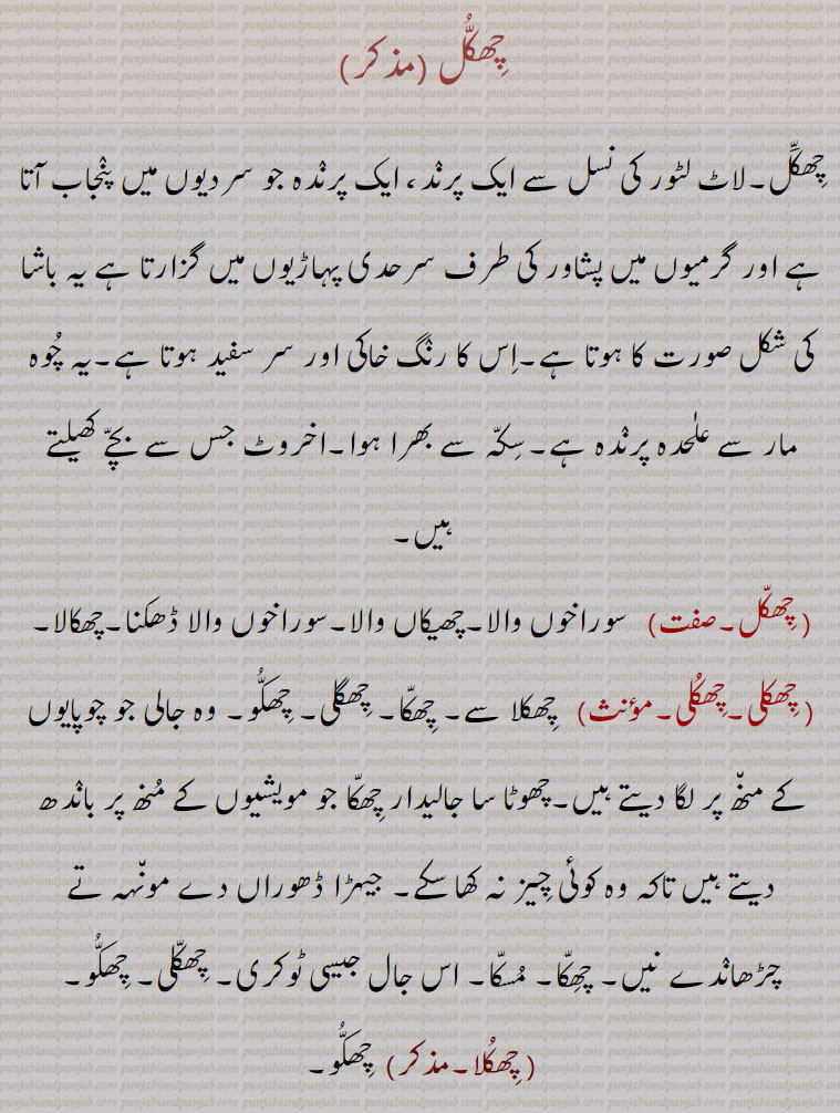  chhikkoo,ਛਿੱਕੂ ,chhikkoli, ਛਿੱਕੁਲੀ ,chhikka, chhika, ਛਿਕਾੱ, ਛਿਕਾ,bahaNgs,chhikkul,چِھکُّل ,لاٹ لٹور کی نسل سے ایک پرنٛد، ایک پرنٛدہ جو سردیوں میں پنٛجاب آتا ہے اور گرمیوں میں پشاور کی طرف سرحدی پہاڑیوں میں گزارتا ہے یہ باشا کی شکل صورت کا ہوتا ہے۔اِس کا رنٛگ خاکی اور سر سفید ہوتا ہے۔یہ چُوہ مار سے علٰحدہ پرنٛدہ ہے۔سِکّہ سے بھرا ہوا۔اخروٹ جس سے بچّے کھیلتے ہیں, سوراخوں والا۔چھیکاں والا۔سوراخوں والا ڈھکنا۔چھکالا, چِھکلی,  چِھکلا سے۔ چِھکّا۔ چِھگلی۔ چِھکُّو۔ وہ جالی جو چوپایوں کے من٘ھ پر لگا دیتے ہیں۔چھوٹا سا جالیدار چِھکّا جو مویشیوں کے مُنھ پر بانٛدھ دیتے ہیں تاکہ وہ کوئی چِیز نہ کھا سکے۔ جیہڑا ڈھوراں دے مون٘ہہ تے چڑھانٛدے نیں۔ چھِکّا۔ مُسکّا۔ اس جال جیسی ٹوکری۔ چِھکّلی۔ چِھکُّو, چِھکُلا,  چِھکُّو, چِھکُلا, چِھکّڑا, چِھکّلا,  چِھکلی سے,چُہکلّی, چکّلی۔, چِھگلی,  چِھکُّو, چھکالا, سوراخوں والا۔ سوراخوں والا دُددھ کاڑھنے والے برتن کے اوپر رکھتے ہیں۔سوراخوں  والابرتن۔ دھات کا سوراخوں والا ایک برتن جس میں ابلے چاولوں میں سے  پچھ (پانی) وغیرہ نکالتے ہیں یا عرق کشید کرنے کے کام آتا ہے,چِھکُّو۔چِھکُو,  چِھکُلا۔ چِھکّلی۔ چھوٹی ٹوکری جس کے اُوپر دستہ لگا ہوتا ہے۔ چِھکّا۔ چَھل۔بوہٖیا۔بوہٹا,چِھکّا, چِھینکا۔وہ جالی یا لٹکن جو اشیائے صرف رکھنے کے واسطے لٹکا دیتے ہیں تا کہ چیزیں محفوظ رہیں۔رسیّیوں یا تاروں کا وہ جال جیسا بنا ہوا ٹوکرا یا ٹنٛگنا جو کھانے پِینے کی چِیزیں رکھنے کے لیے چھت وغیرہ سے لٹکایا جاتا ہے۔چِھکُّو۔ چِھکلی۔جاپ۔ جانوروں کے مُونہہ پر بانٛدھنے والی جالی جو کھنّھی کا کام دیتی ہے۔ جانوروں کا مونہہ بنٛد، مُسکّا۔ایک کھیل کا تنٛد سے بنا بَلّا, چِھکی, چھوٹا چِھکا,چِھکّا,  بہنٛگی کی تنابیں,چِھکّا,چھ کا ہنٛدسہ,A bird who comes to Panjab in winter and spends the summer in the border hills towards Peshawar, is in the form of basha. His thigh is 'khaki' and his head is white. It's separate from the 'chu maar'; filled with coin; walnuts with which children play.,chhikkoo,    A very small basket.,chhikkoli,  A very small basket.,chhikka, chhika,A net, bag by which to hang up things, a network or loop of strings or cords to hang anything on; the strings of a 'bahaNgs'., chhikkul , چھکل ,