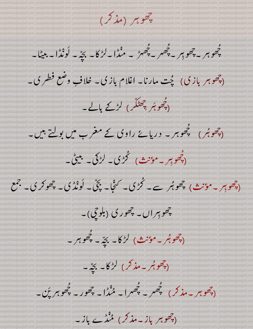  چھوہر , چُھوہر,چھوہِر,چُھہر,چُھہڑ  , منڈا,لڑکا, بچہ, لونڈا,بیٹا,چھوہر بازی, چت مارنا, اغلام بازی, خلاف وضع فطری,چھوہر چھٹکر, چھوہراں, چھوری ,چھوہر باز,چھوہر پن,چھوہر پنا,  چھرکی, چھچھورا پن,چھوہرا,چھوہراں,چھوہراں ویلی,چھوہری, کڑی, چھوری,دختر, لڑکی,چھوہریں,چھوہراں,چھوہری,چھوہراں ہتھ داڑھی آنا,چھور)  حد, بنا, کنارا,A boy, a lad, male child, son, stripling,chhoohar, chhuhur, chhohir, chhohar puna, chhuhur puna,   Childhood; boyishness, littleness, a want of spirit,chhuhur,chhuhura ,chhohir,chhohri,  Girl, lass, daughter,chhohir,chhohir baaz, chhohar baaz,chhohar, ਛੋਹਰ,ਛੋਹਰੀ, ਛੁਹੁਰ , ਛੁਹੁਰਾ, chhohr  