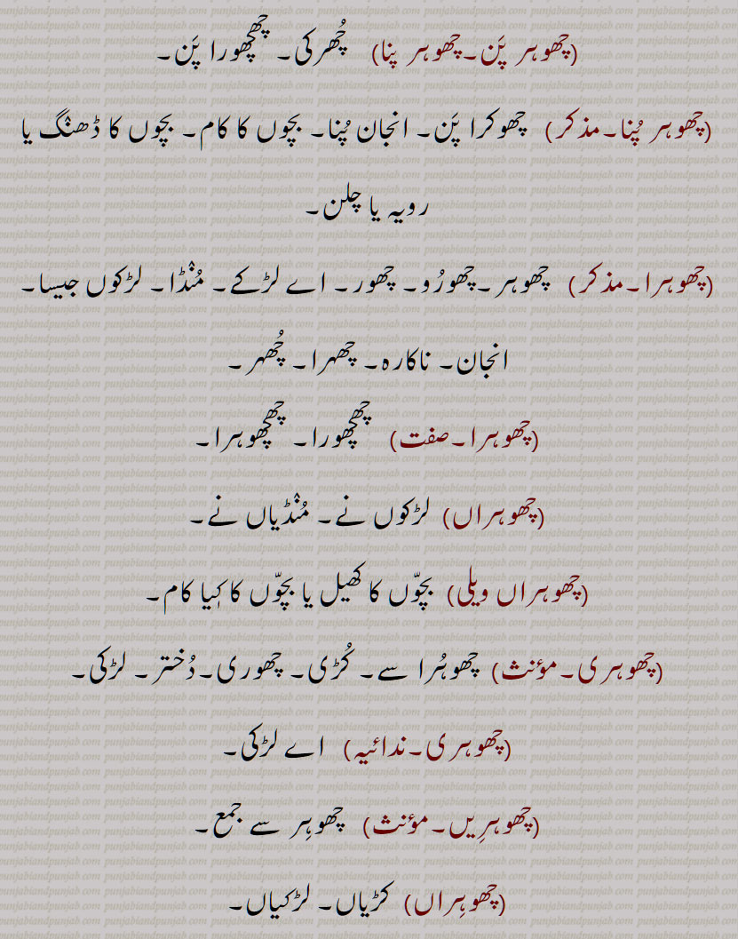  چھوہر , چُھوہر,چھوہِر,چُھہر,چُھہڑ  , منڈا,لڑکا, بچہ, لونڈا,بیٹا,چھوہر بازی, چت مارنا, اغلام بازی, خلاف وضع فطری,چھوہر چھٹکر, چھوہراں, چھوری ,چھوہر باز,چھوہر پن,چھوہر پنا,  چھرکی, چھچھورا پن,چھوہرا,چھوہراں,چھوہراں ویلی,چھوہری, کڑی, چھوری,دختر, لڑکی,چھوہریں,چھوہراں,چھوہری,چھوہراں ہتھ داڑھی آنا,چھور)  حد, بنا, کنارا,A boy, a lad, male child, son, stripling,chhoohar, chhuhur, chhohir, chhohar puna, chhuhur puna,   Childhood; boyishness, littleness, a want of spirit,chhuhur,chhuhura ,chhohir,chhohri,  Girl, lass, daughter,chhohir,chhohir baaz, chhohar baaz,chhohar, ਛੋਹਰ,ਛੋਹਰੀ, ਛੁਹੁਰ , ਛੁਹੁਰਾ, chhohr  