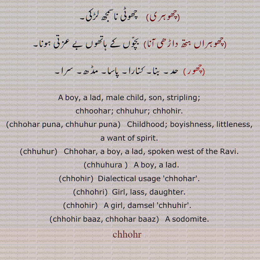  چھوہر , چُھوہر,چھوہِر,چُھہر,چُھہڑ  , منڈا,لڑکا, بچہ, لونڈا,بیٹا,چھوہر بازی, چت مارنا, اغلام بازی, خلاف وضع فطری,چھوہر چھٹکر, چھوہراں, چھوری ,چھوہر باز,چھوہر پن,چھوہر پنا,  چھرکی, چھچھورا پن,چھوہرا,چھوہراں,چھوہراں ویلی,چھوہری, کڑی, چھوری,دختر, لڑکی,چھوہریں,چھوہراں,چھوہری,چھوہراں ہتھ داڑھی آنا,چھور)  حد, بنا, کنارا,A boy, a lad, male child, son, stripling,chhoohar, chhuhur, chhohir, chhohar puna, chhuhur puna,   Childhood; boyishness, littleness, a want of spirit,chhuhur,chhuhura ,chhohir,chhohri,  Girl, lass, daughter,chhohir,chhohir baaz, chhohar baaz,chhohar, ਛੋਹਰ,ਛੋਹਰੀ, ਛੁਹੁਰ , ਛੁਹੁਰਾ, chhohr  