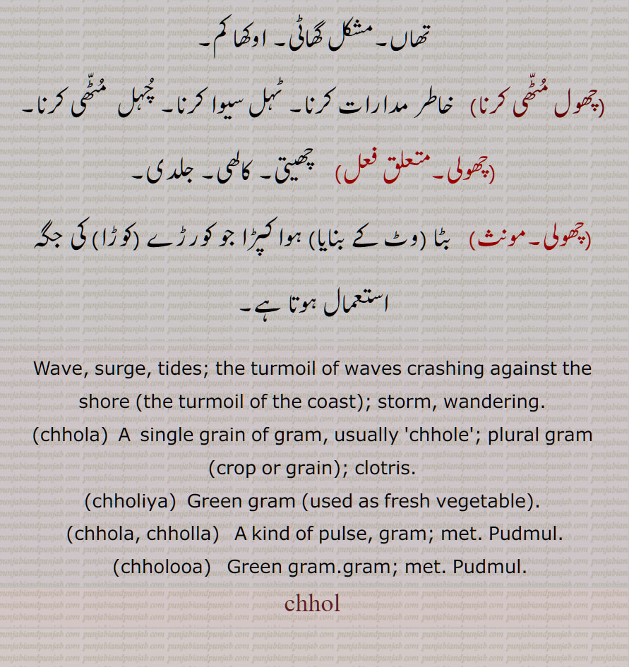   چھول,لہر,موج,مدوجزر,ساحل سے ٹکرانے والی لہرورں کا تلاطم ,کنارے کا تلاطم,جوار بھاٹا,ہجوم,طوفان, آوارگی,چھولی,چھولی آونا,چھولی دینا,چھولٖیاں ڈیونا,چھولیاں,چھول,چھول بوٹے,چھولیا,چھولوآ,چھولے دے  کے  پڑھنا,چھولیاں دا وڈھ,,چھول مٹھی کرنا,چھولی,چھولی,,ਚੋਲਾ, Gram , Cicer arietinum, chhola,,Wave, surge, tides; the turmoil of waves crashing against the shore ,the turmoil of the coast,storm, wandering, chhola, chholiya, chhola, chholla, chholooa, chhol ,Pudmul,  , ਛੋਲ,ਛੋਲਾ, ਛੋਲੇ , ਛੋਲੀਆ, ਛੋੱਲਾ, ਛੋਲੂਆ, 
