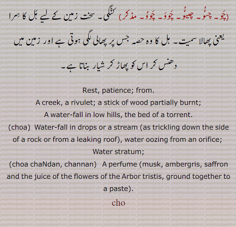 ਚੋ,A creek, a rivulet; a stick of wood partially burnt;, A water-fall in low hills, the bed of a torrent.choa, ਚੋਆ, Water-fall in drops or a stream (as trickling down the side of a rock or from a leaking roof), water oozing from an orifice; Water stratum;choa chandan, channan,   A perfume (musk, ambergris, saffron and the juice of the flowers of the Arbor tristis, ground together to a paste).چو۔ چار۔ چون۔ نچلا رہنے کی حالت۔ آرام۔ چین۔ صبر۔ وچوں میں سے۔ ندی۔ چھوٹی پہاڑیوں سے پانی کا آبشار۔ ندی کی تہ۔ لکڑی کا ٹکڑا بطور بالن یا جس کا سرا جل رہا۔ گالی ۔متھے چو دینا۔ لوہنا۔ پھوکنا۔ بدشگونی۔ کنگی۔ سخت زمین کے لیے ہل کا سرا یعنی پھالا۔ پھاڑ کر شیار بنانا۔  