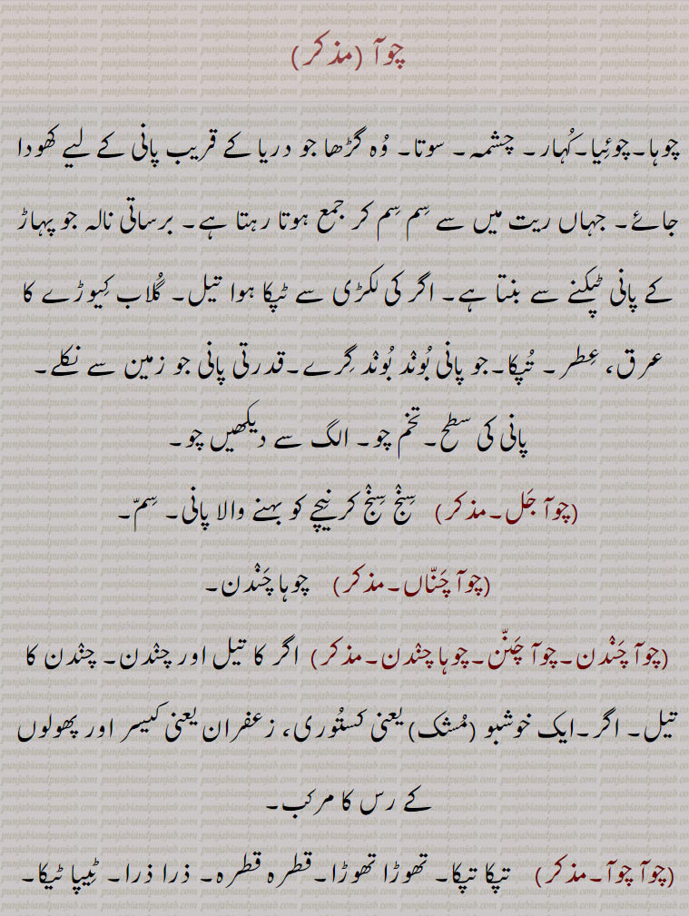    چوآ , چوہا,چوئیا,کہار, چشمہ, سوتا, وہ گڑھا جو دریا کے قریب پانی کے لیے کھودا جائے, جہاں ریت میں سے سم سم کر جمع ہوتا رہتا ہے, برساتی نالہ جو پہاڑ کے پانی ٹپکنے سے بنتا ہے, اگر کی لکڑی سے ٹپکا ہوا تیل, گلاب کیوڑے کا عرق, عطر, تپکا,جو پانی بوند بوند گرے,قدرتی پانی جو زمین سے نکلے, پانی کی سطح,تخم چو, الگ سے دیکھیں چو, چوآ جل,  سنج سنج کر نیچے کو بہنے والا پانی, سم, چوآ چناں,   چوہا چندن, چوآ چندن,چوآ چنن,چوہا چندن,  اگر کا تیل اور چندن, چندن کا تیل, اگر,ایک خوشبو (مشک) یعنی کستوری, زعفران یعنی کیسر اور پھولوں کے رس کا مرکب,چوآ چوآ,,   تپکا تپکا, تھوڑا تھوڑا,قطرہ قطرہ, ذرا ذرا, ٹیپا ٹیکا,چوئے, قطرے,چوئی, ,چھوٹا نالہ,پہاڑوں میں تنگ راستہ,,چوئیا,چوآ,چوآن,  ٹپکاون, نچوڑن,چوآں,  چون والا ٹپکیا ہویا, چو,چوا,   چوڽا سے, چھت کا ٹپکنا,چوئیا,  کھیت میں پانی دینے کا فعل,چوآ ڈیونا,   کھیت میں اتنا پانی دینا کہ پودوں کے اوپر سے پھر جائے ,کھیت میں پانی داخل ہونے دینا مگر جو کافی نہ ہو,چوآ رنبا, ایک خاص قسم کا چھوٹا پھاوڑا, بیلچہ, ایک خاص قسم کی چھوٹی کلہاڑی,چوآ کھن, تھوڑا سا, بوند جتنا,چوآ,  آبپاشی,برسات کی فصل کے طور پر یہ پودا اکثر بیجا جاتا ہے,چوآ کیدری,  چوآ  کی قسم جو کثرت سے نہیں  بیجتے,چوآں,  چوآن,شہاب ثاقب,چوئیں,  چوآں سے,چواتی,چوآں, ایک نہر جو کہ مظفر گڑھ ضلع میں ہے,  چونا سے, جو بوند بوند گرے,موسمی چشمہ,کھاڑی,چھوٹی ندی,نچلی پہاڑیوں میں پانی کا گرنا, تیز بہاؤ, لکڑی جو جزوی طور پر جل گئی ہو,لکڑی جس کا ایک سرا جل رہا ہو,    Water-fall in drops or a stream (as trickling down the side of a rock or from a leaking roof), water oozing from an orifice; Water stratum; Amaranthus paniculatus. ,choia,    See Choa. ,choa chaNdan, choa channaN , A perfume (musk, ambergris, saffron and the juice of the flowers of the Arbor tristis, ground together to a paste). ,choha chaNdan,   See choa chaNdan in Choa. ,choha channan,   See choa chaNdan in Choa. ,choaaN,   A coruscation, a meteor, a falling star: a coruscation made by lighting one end of a stick and twirling it round.,chwaati,  A canal in the Muzzafargarh dustrict is fancifully named chuaN; cho, chuati.  ,choi,  A narrow passage in the hills, a defile; a small stream of water., cho,  A creek, a rivulet; a stick of wood partially burnt; a water-fall in low hills, the bed of a torrent; milk., chooa dewana,  To let water; into the fields, but not, enough to cover the plants.,chuaN,  A coruscation, meteor, falling star, tiro brand; namo of a canal in Mozaffargarh, chwaati., cho kedri,   Amaranthus caudatus.choa,,  ਚੋਆ, choia,  ਚੋਇਆ,choha chaNdan,  ਹਾਚੰਦਨ,choha channan, ਚੋਹਾਚੱਨਣ,choaaN, ਚੁਆਂ,choi, ਚੋਈ,cho, ਚੋ, ਚੋਣਾ, ਚੋਆ,  ਚੋਆ ਪੈਣਾ, ਚੋਸਾ, ਚੌਸਾ , 