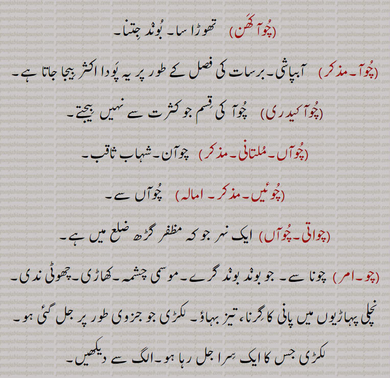    چوآ , چوہا,چوئیا,کہار, چشمہ, سوتا, وہ گڑھا جو دریا کے قریب پانی کے لیے کھودا جائے, جہاں ریت میں سے سم سم کر جمع ہوتا رہتا ہے, برساتی نالہ جو پہاڑ کے پانی ٹپکنے سے بنتا ہے, اگر کی لکڑی سے ٹپکا ہوا تیل, گلاب کیوڑے کا عرق, عطر, تپکا,جو پانی بوند بوند گرے,قدرتی پانی جو زمین سے نکلے, پانی کی سطح,تخم چو, الگ سے دیکھیں چو, چوآ جل,  سنج سنج کر نیچے کو بہنے والا پانی, سم, چوآ چناں,   چوہا چندن, چوآ چندن,چوآ چنن,چوہا چندن,  اگر کا تیل اور چندن, چندن کا تیل, اگر,ایک خوشبو (مشک) یعنی کستوری, زعفران یعنی کیسر اور پھولوں کے رس کا مرکب,چوآ چوآ,,   تپکا تپکا, تھوڑا تھوڑا,قطرہ قطرہ, ذرا ذرا, ٹیپا ٹیکا,چوئے, قطرے,چوئی, ,چھوٹا نالہ,پہاڑوں میں تنگ راستہ,,چوئیا,چوآ,چوآن,  ٹپکاون, نچوڑن,چوآں,  چون والا ٹپکیا ہویا, چو,چوا,   چوڽا سے, چھت کا ٹپکنا,چوئیا,  کھیت میں پانی دینے کا فعل,چوآ ڈیونا,   کھیت میں اتنا پانی دینا کہ پودوں کے اوپر سے پھر جائے ,کھیت میں پانی داخل ہونے دینا مگر جو کافی نہ ہو,چوآ رنبا, ایک خاص قسم کا چھوٹا پھاوڑا, بیلچہ, ایک خاص قسم کی چھوٹی کلہاڑی,چوآ کھن, تھوڑا سا, بوند جتنا,چوآ,  آبپاشی,برسات کی فصل کے طور پر یہ پودا اکثر بیجا جاتا ہے,چوآ کیدری,  چوآ  کی قسم جو کثرت سے نہیں  بیجتے,چوآں,  چوآن,شہاب ثاقب,چوئیں,  چوآں سے,چواتی,چوآں, ایک نہر جو کہ مظفر گڑھ ضلع میں ہے,  چونا سے, جو بوند بوند گرے,موسمی چشمہ,کھاڑی,چھوٹی ندی,نچلی پہاڑیوں میں پانی کا گرنا, تیز بہاؤ, لکڑی جو جزوی طور پر جل گئی ہو,لکڑی جس کا ایک سرا جل رہا ہو,    Water-fall in drops or a stream (as trickling down the side of a rock or from a leaking roof), water oozing from an orifice; Water stratum; Amaranthus paniculatus. ,choia,    See Choa. ,choa chaNdan, choa channaN , A perfume (musk, ambergris, saffron and the juice of the flowers of the Arbor tristis, ground together to a paste). ,choha chaNdan,   See choa chaNdan in Choa. ,choha channan,   See choa chaNdan in Choa. ,choaaN,   A coruscation, a meteor, a falling star: a coruscation made by lighting one end of a stick and twirling it round.,chwaati,  A canal in the Muzzafargarh dustrict is fancifully named chuaN; cho, chuati.  ,choi,  A narrow passage in the hills, a defile; a small stream of water., cho,  A creek, a rivulet; a stick of wood partially burnt; a water-fall in low hills, the bed of a torrent; milk., chooa dewana,  To let water; into the fields, but not, enough to cover the plants.,chuaN,  A coruscation, meteor, falling star, tiro brand; namo of a canal in Mozaffargarh, chwaati., cho kedri,   Amaranthus caudatus.choa,,  ਚੋਆ, choia,  ਚੋਇਆ,choha chaNdan,  ਹਾਚੰਦਨ,choha channan, ਚੋਹਾਚੱਨਣ,choaaN, ਚੁਆਂ,choi, ਚੋਈ,cho, ਚੋ, ਚੋਣਾ, ਚੋਆ,  ਚੋਆ ਪੈਣਾ, ਚੋਸਾ, ਚੌਸਾ , 