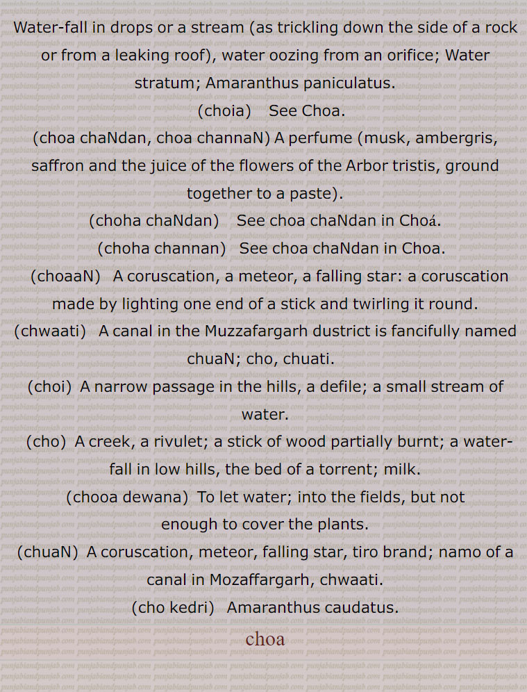    چوآ , چوہا,چوئیا,کہار, چشمہ, سوتا, وہ گڑھا جو دریا کے قریب پانی کے لیے کھودا جائے, جہاں ریت میں سے سم سم کر جمع ہوتا رہتا ہے, برساتی نالہ جو پہاڑ کے پانی ٹپکنے سے بنتا ہے, اگر کی لکڑی سے ٹپکا ہوا تیل, گلاب کیوڑے کا عرق, عطر, تپکا,جو پانی بوند بوند گرے,قدرتی پانی جو زمین سے نکلے, پانی کی سطح,تخم چو, الگ سے دیکھیں چو, چوآ جل,  سنج سنج کر نیچے کو بہنے والا پانی, سم, چوآ چناں,   چوہا چندن, چوآ چندن,چوآ چنن,چوہا چندن,  اگر کا تیل اور چندن, چندن کا تیل, اگر,ایک خوشبو (مشک) یعنی کستوری, زعفران یعنی کیسر اور پھولوں کے رس کا مرکب,چوآ چوآ,,   تپکا تپکا, تھوڑا تھوڑا,قطرہ قطرہ, ذرا ذرا, ٹیپا ٹیکا,چوئے, قطرے,چوئی, ,چھوٹا نالہ,پہاڑوں میں تنگ راستہ,,چوئیا,چوآ,چوآن,  ٹپکاون, نچوڑن,چوآں,  چون والا ٹپکیا ہویا, چو,چوا,   چوڽا سے, چھت کا ٹپکنا,چوئیا,  کھیت میں پانی دینے کا فعل,چوآ ڈیونا,   کھیت میں اتنا پانی دینا کہ پودوں کے اوپر سے پھر جائے ,کھیت میں پانی داخل ہونے دینا مگر جو کافی نہ ہو,چوآ رنبا, ایک خاص قسم کا چھوٹا پھاوڑا, بیلچہ, ایک خاص قسم کی چھوٹی کلہاڑی,چوآ کھن, تھوڑا سا, بوند جتنا,چوآ,  آبپاشی,برسات کی فصل کے طور پر یہ پودا اکثر بیجا جاتا ہے,چوآ کیدری,  چوآ  کی قسم جو کثرت سے نہیں  بیجتے,چوآں,  چوآن,شہاب ثاقب,چوئیں,  چوآں سے,چواتی,چوآں, ایک نہر جو کہ مظفر گڑھ ضلع میں ہے,  چونا سے, جو بوند بوند گرے,موسمی چشمہ,کھاڑی,چھوٹی ندی,نچلی پہاڑیوں میں پانی کا گرنا, تیز بہاؤ, لکڑی جو جزوی طور پر جل گئی ہو,لکڑی جس کا ایک سرا جل رہا ہو,    Water-fall in drops or a stream (as trickling down the side of a rock or from a leaking roof), water oozing from an orifice; Water stratum; Amaranthus paniculatus. ,choia,    See Choa. ,choa chaNdan, choa channaN , A perfume (musk, ambergris, saffron and the juice of the flowers of the Arbor tristis, ground together to a paste). ,choha chaNdan,   See choa chaNdan in Choa. ,choha channan,   See choa chaNdan in Choa. ,choaaN,   A coruscation, a meteor, a falling star: a coruscation made by lighting one end of a stick and twirling it round.,chwaati,  A canal in the Muzzafargarh dustrict is fancifully named chuaN; cho, chuati.  ,choi,  A narrow passage in the hills, a defile; a small stream of water., cho,  A creek, a rivulet; a stick of wood partially burnt; a water-fall in low hills, the bed of a torrent; milk., chooa dewana,  To let water; into the fields, but not, enough to cover the plants.,chuaN,  A coruscation, meteor, falling star, tiro brand; namo of a canal in Mozaffargarh, chwaati., cho kedri,   Amaranthus caudatus.choa,,  ਚੋਆ, choia,  ਚੋਇਆ,choha chaNdan,  ਹਾਚੰਦਨ,choha channan, ਚੋਹਾਚੱਨਣ,choaaN, ਚੁਆਂ,choi, ਚੋਈ,cho, ਚੋ, ਚੋਣਾ, ਚੋਆ,  ਚੋਆ ਪੈਣਾ, ਚੋਸਾ, ਚੌਸਾ , 