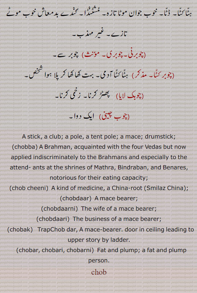 ਚੋਬ, ਚੋਬਦਾਰ, ਚੋਬਦਾਰੀ, ਚੋਬ ਚੀਨੀ,	
ਚੋਬਰ,ਚੋਬੀ,
 چوب ,لمبی لکڑی۔ درخت کی شاخ۔ ڈنڈا۔ سوٹی۔ لاٹھی۔ موٹی گرز۔ بانس۔ سونٹا۔ عصا 
چھڑی۔ موٹی لکڑی جوتھمی کا کام دے۔ چاندی یا سونے کا مڑھا ہوا ڈنڈا,لکڑی مراد پھانسی کا تختہ (بابا فرید)۔
ڈھول۔ تاشا اور نقارہ وغیرہ بجانے کی لکڑی۔ ساز بجانے کی لکڑی۔ لکڑی کی مضراب,عمارت کے کسی تعمیر شدہ حصے کا مصنوعی جواب جو کسی مقابل کی دیوار پر بطور جوابی عمارت بنا دیا جائے مثلاً ایک جانب سہ درہ ہے اس کے مقابل سہ درے کی گنجائش نہیں ہے صرف دیوار ہے تو دیوار پر سہ درے کی مصنوع شکل بنا کر جواب دکھایا جائے,بھٹی کا وہ حصہ جس میں آگ رہتی ہے,آنکھ کی چوٹ۔ آنکھ کی ضرب۔ آنکھ کے ڈھیلے میں خون کا دھبہ۔کار چوبی۔ زردوزی۔ کشیدہ کاری، اسٹاف کلب۔ چوکی پوسٹ، چوب صندل،  صندل رکھ کی لکڑ ،  چوب دار،   جو چوب اٹھا کر امیروں وغیرہ کے آگے چلے۔ ڈنڈا رکھنے والا نوکر عصا بردار، چوبدارنی،  چوبدار کی بیوی،چوب داری،  چوبدار کا کام،چوبا،  تنبو وغیرہ کی۔ چوب والا۔ بہت کھانے والا،چوبی۔   لکڑی کی بنی ہوئی کوئی چیز۔ چوب رکھنے والا۔
چووی = چوبیس،چوبا۔،  نقارچی۔ نقارہ بجانے والا۔ متھرا برندا بن کا پانڈا۔ چوبا۔ برہمنوں کی ایک ذات۔ چار ویدوں کو جاننے والا۔متھرا وغیرہ تیرتھوں کا پنڈی،چوبر،  دلیر۔ طاقت ور۔ بہادر۔گبھرو منڈا۔ موٹا۔ بھچرہٹا کٹا۔ ڈٹا۔ خوب جوان موٹا تازہ۔ مشٹنڈا۔ گندے بدمعاش خوب موٹے تازے۔ غیر مہذب,چوبرنی۔چوبری,  چوبر سے,چوبر کٹا۔ ,ہٹا کٹا آدمی۔ بہت کھا کھا کر پلا ہوا شخص,چوبک لایا,    پھٹڑ کرنا۔ زخمی کرنا,چوب چینی,   ایک دوا, A stick, a club; a pole, a tent pole; a mace; drumstick;, chobba, A Brahman, acquainted with the four Vedas but now applied indiscriminately to the Brahmans and especially to the attend- ants at the shrines of Mathra, Bindraban, and Benares, notorious for their eating capacity;,chob cheeni,  A kind of medicine, a China-root ,Smilaz China,;,chobdaar,  A mace bearer;,chobdaarni,  The wife of a mace bearer;,chobdaari,  The business of a mace bearer;,chobak,   TrapChob dar, A mace-bearer. door in ceiling leading to upper story by ladder. ,chobar, chobari, chobarni)  Fat and plump; a fat and plump person.,