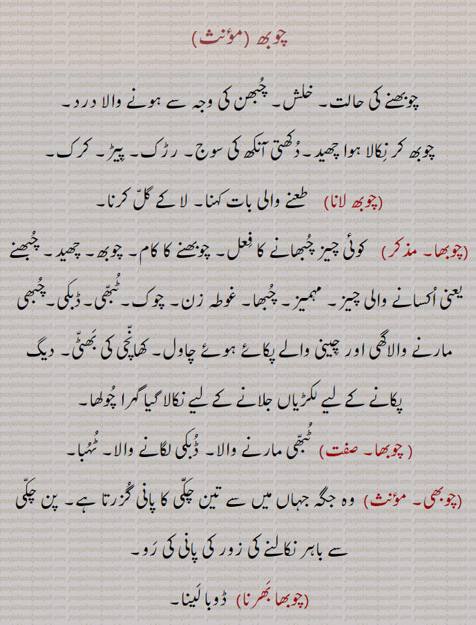 ,ਚੋਭਵਾਂ, ਚੋਭੜ, ਚੋਭਾ,ਚੋਭਾ
چوبھ ,چوبھنے کی حالت۔ خلش۔ چُبھن کی وجہ سے ہونے والا درد,چوبھ کر نِکالا ہوا چھید۔دُکھتی آنکھ کی سوج۔ رڑک۔ پِیڑ۔ کرک,چوبھ لانا,طعنے والی بات کہنا۔ لا کے گلّ کرنا,چوبھا,   کوئی چیز چُبھانے کا فِعل۔ چوبھنے کا کام۔ چوبھ۔ چھید۔ چُبھنے یعنی اُکسانے والی چیز۔ مہمیز۔ چُبھا۔ غوطہ زن۔ چوک۔ٹُبّھی۔ڈبکی۔چُبھی مارنے والاگھی اور چِینی والے پکائے ہوئے چاول۔ کھانّچی کی بَھٹّی۔ دیگ پکانے کے لیے لکڑیاں جلانے کے لیے نکالا گیا گہرا چُولھا, چوبھا,  ٹُبّھی مارنے والا۔ ڈُبکی لگانے والا۔ ٹُہُبا,چوبھی, وہ جگہ جہاں میں سے تین چکّّی کا پانی گُزرتا ہے۔ پن چکّی سے باہر نکالنے کی زور کی پانی کی رَو,چوبھا بَھرنا,  ڈوبا لَینا,چوبھانا,  چُبھانا۔ ٹِیس پہنچانا,چوبھنا, نوکدار چیز دھن٘سانا۔ کھوبھنا۔ چھید کرنا,چوبھک۔چوبھو,  چُبھانے والا۔ چوبھنے والا۔ چوبھ۔ چبھڽ,چوبَھڑ,  چوبھ کر نکالا ہوا چھوٹا سا چھید,چوبھے, چبھوئے,چوبھینٛدیاں,  چوبھدیاں,چبھونٛدیاں, A perforation, a hole made by piercing a puncture; an inflammation of the eye;  ,chobha,  Pricking, piercing, a perforation, a puncture; a dip, a diver, immersion; a dish composed of cooked rice, ghee and sugar; the furnace of a sugar factory;,chobhar,  A small per- foration, a very small hole made by pricking or piercing, a minute puncture;, chobhi, The race of a water-mill by which water escapes;,chobhna,  To pierce, to perforate, to make a hole, to prick, to puncture , chobhoo,  One that pricks or pierces.
chobh, chob, chobh, ਚੋਭ,chobha, ਚੋਭਾ, chob,   choba, 