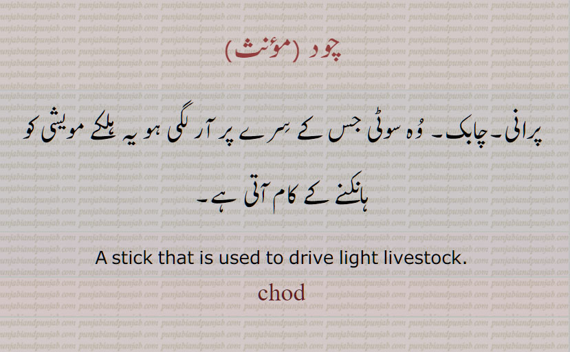 چود,chod,ਚੋਦ ,
پرانی , چابک