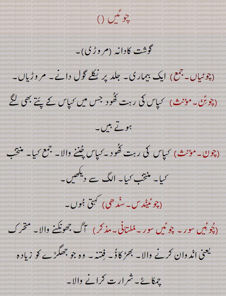  چوئیں ,گوشت کادانہ ,مروڑی,چوئیاں,  ایک بیماری۔ جلد پر نِکلے گول دانے۔ مروڑیاں,چوئِڽ, کپاس کی رہت کُھود جس میں کپاس کے پَتے بھی لگے ہوتے ہیں,چوڽ,  کپاس  کی رہت کُھود۔کپاس چُننے والا۔ جمع کیا۔ منتخب کیا۔ منتخب کیا,چوئینٛدس,  کہتی ہُوں,چُوئِیں سور۔ چوئیں سور,   آگ جھونکنے والا۔ متحرک یعنی انٛدوان کرنے والا۔ بھڑکاؤُ۔ فِتنہ۔ وہ جو جھگڑے کو زیادہ چمکائے۔شرارت کرانے والا,چُوئی شُویا,  چُوچ۔ ایک نبات,چونیں, سر کے بال, A disease of round rash on the skin. ,choo’een-sor, choo’en-sor, A fireman, a stirrer up of strife, mischief maker., chooneN,   The hair of the head. ,choin,   Refuse in cotton, cotton with particles of the leaves of the plant mixed with it. ,chon,   Refuse of cotton; a cotton picker; Gathered, picked, selected, chosen. ,cho'eeN,choeeN ,choiN,  ਚੋਈਂ,chooneen,ਚੂਨੇਂ ,chooeen-sor,choin, ਚੋਇਣ,choin, chooneN, chooen-sor,ਚੋਇਣ , 
