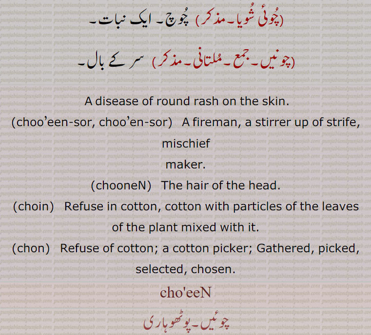  چوئیں ,گوشت کادانہ ,مروڑی,چوئیاں,  ایک بیماری۔ جلد پر نِکلے گول دانے۔ مروڑیاں,چوئِڽ, کپاس کی رہت کُھود جس میں کپاس کے پَتے بھی لگے ہوتے ہیں,چوڽ,  کپاس  کی رہت کُھود۔کپاس چُننے والا۔ جمع کیا۔ منتخب کیا۔ منتخب کیا,چوئینٛدس,  کہتی ہُوں,چُوئِیں سور۔ چوئیں سور,   آگ جھونکنے والا۔ متحرک یعنی انٛدوان کرنے والا۔ بھڑکاؤُ۔ فِتنہ۔ وہ جو جھگڑے کو زیادہ چمکائے۔شرارت کرانے والا,چُوئی شُویا,  چُوچ۔ ایک نبات,چونیں, سر کے بال, A disease of round rash on the skin. ,choo’een-sor, choo’en-sor, A fireman, a stirrer up of strife, mischief maker., chooneN,   The hair of the head. ,choin,   Refuse in cotton, cotton with particles of the leaves of the plant mixed with it. ,chon,   Refuse of cotton; a cotton picker; Gathered, picked, selected, chosen. ,cho'eeN,choeeN ,choiN,  ਚੋਈਂ,chooneen,ਚੂਨੇਂ ,chooeen-sor,choin, ਚੋਇਣ,choin, chooneN, chooen-sor,ਚੋਇਣ , 