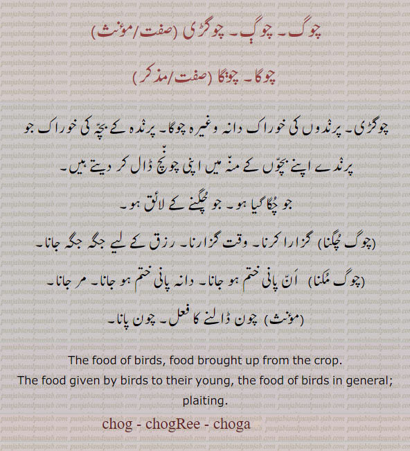 چوگ۔ چوگڑی۔ چوگا۔چوگڑی۔ پرندوں کی خوراک دانہ وغیرہ۔ پرندہ جو اپنے بچے کے منہ میں۔ چگنے کے لائق۔ چوگ چگنا۔ گزارا کرنا۔ وقت گزارنا۔ رزق کے لیے جگہ جگہ جانا۔ چوگ مکنا۔ ان پانی ختم ہو جان۔ دانی پانی ختم ہو جانا۔ مر جانا۔ چون ڈالنے۔ چون پانا۔ food of birds. food brought up from crop. food given to young. chog. chogree. chofa. chogga.ਚੁਗ, ਚੋਗੜੀ, ਚੋਗਾ,ਚੋਗੜੀ,