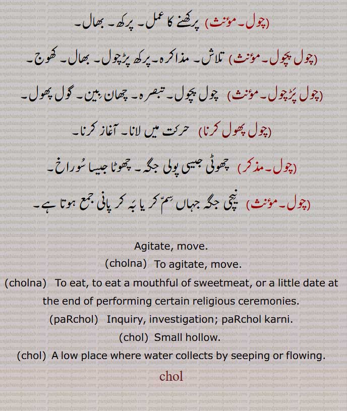  چول ,  ہلا, بلاوے, چھیڑے,چولنا,اکسانا, ابھارنا, ہل چل مچانا, سرکانا, متحرک کرنا,حرکت دینا,جھنجھوڑنا, چھیڑنا, بے تاب کرنا,سدنا,ہلانا, چلیندا , چلیا ,چلیسی , پرکھنے کا عمل, پرکھ, بھال,چول پچول,پرکھ پڑچول, کھوج,چول پڑچول, چھان بین, گول پھول,چول پھول کرنا, پولی جگہ,   نیچی جگہ جہاں سم کر, Agitate, move,cholna,paRchol,Inquiry, investigation; paRchol karni,chol Small hollow, A low place ,chol, 
چول, ਚੋਲ, ਚੋਲਨਾ ,ਪਰਚੋਲ, parchol , chol,cholna,,چولنا,پڑچول,,  