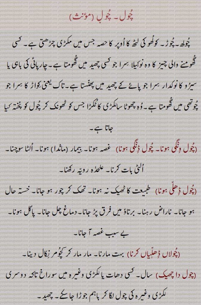  چول, چولھ,چوڑ, کولھو کی لٹھ کا ا وپر کا حصہ جس میں مکڑی چڑھتی ہے۔ کسی گھومنے والی چیز کا وہ نوکیلا سرا جو کسی چھید میں گھومتا ہے۔چارپائی کی باہی یا سیر و کا نوکدار سرا جو پائے کے چھید میں پھنستا ہے,چول ونگی ہونا, چول ڈنگی ہونا,چول ڈ ھلی ہونا,چولاں ڈ ھل یاں کرنا,چول دا چھیک,چول ٹھوکنی,The pivot part of a hinge, a tenon,chool wiNgi honi,chool da chhek,  ਚੂਲ਼ ਦਾ ਛੇਕ,chool Thokni, ਚੂਲ਼ ਠੋਕਣੀ,chool , chul,  ਚੂਲ਼ , ਚੂਲ, 