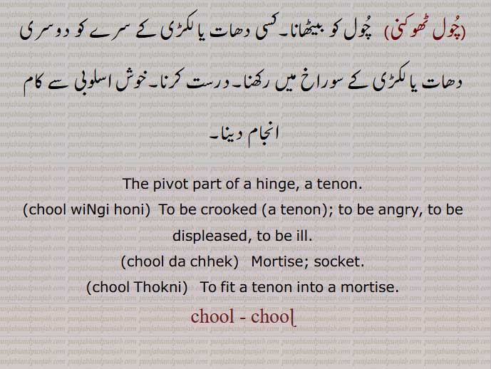  چول, چولھ,چوڑ, کولھو کی لٹھ کا ا وپر کا حصہ جس میں مکڑی چڑھتی ہے۔ کسی گھومنے والی چیز کا وہ نوکیلا سرا جو کسی چھید میں گھومتا ہے۔چارپائی کی باہی یا سیر و کا نوکدار سرا جو پائے کے چھید میں پھنستا ہے,چول ونگی ہونا, چول ڈنگی ہونا,چول ڈ ھلی ہونا,چولاں ڈ ھل یاں کرنا,چول دا چھیک,چول ٹھوکنی,The pivot part of a hinge, a tenon,chool wiNgi honi,chool da chhek,  ਚੂਲ਼ ਦਾ ਛੇਕ,chool Thokni, ਚੂਲ਼ ਠੋਕਣੀ,chool , chul,  ਚੂਲ਼ , ਚੂਲ, 