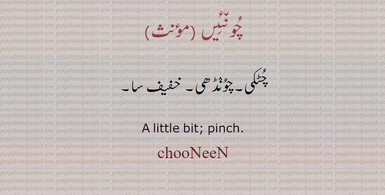  chooNiN , ਚੂਂਈਂ,چُوں٘ئِیں  ,چوںئیں , چُٹکی۔چوُنٛڈھی۔ خفیف سا۔  ,A little bit; pinch. chooNeeN, huNeeN, chuNiN, chooNeeN, chuNeeN